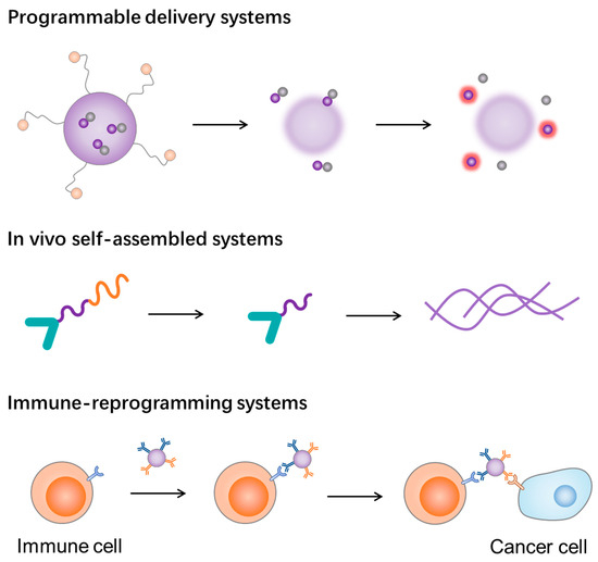 Multistage Self-Assembled Nanomaterials for Cancer Immunotherapy