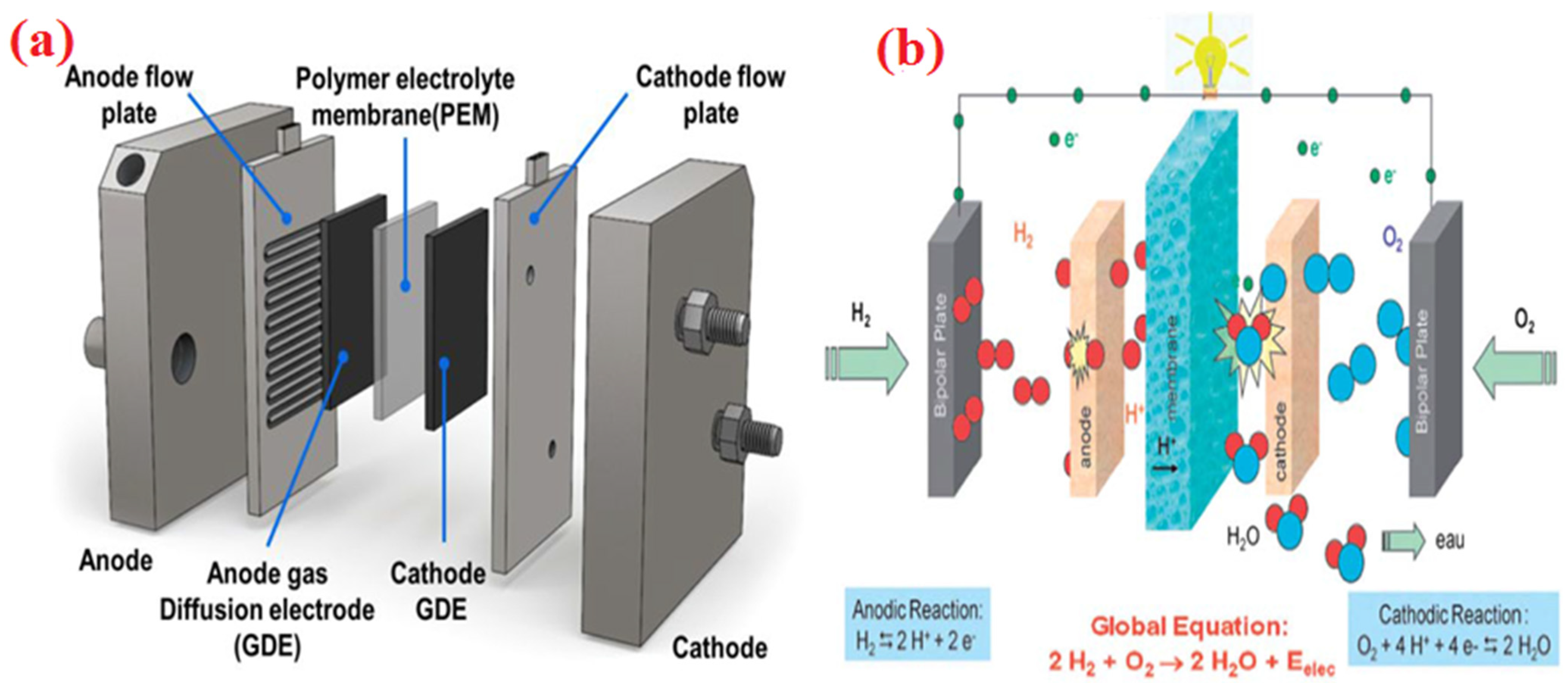 Molecules 28 07751 g002