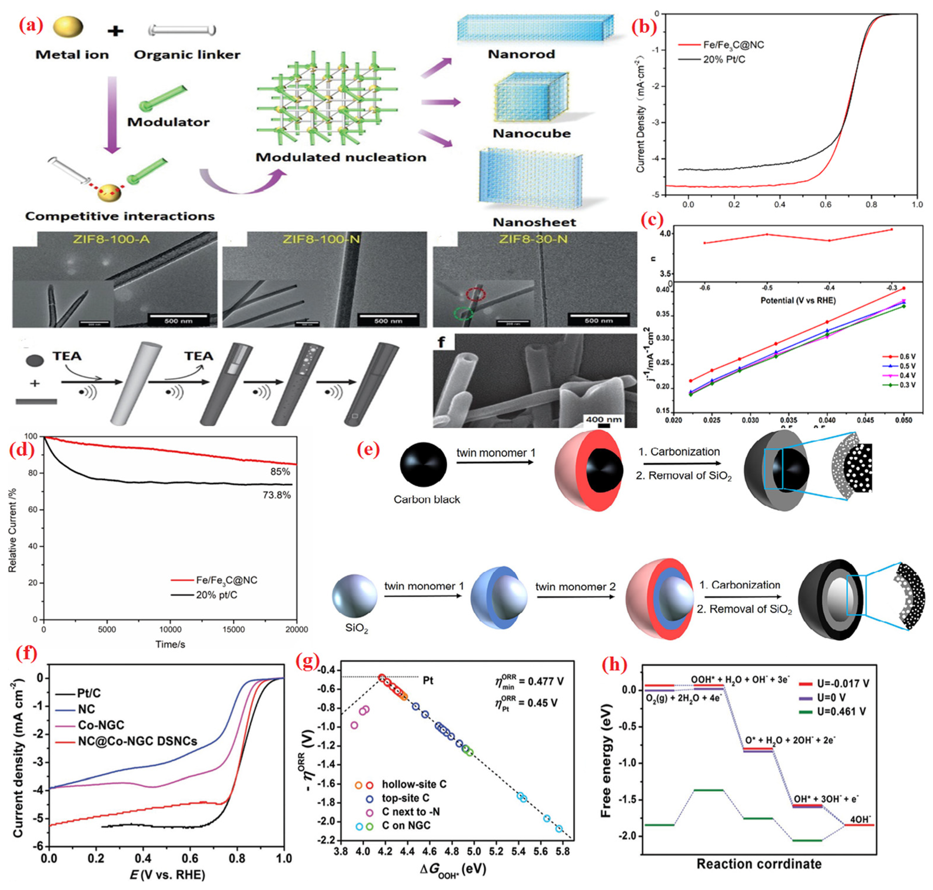 Molecules 28 07751 g011