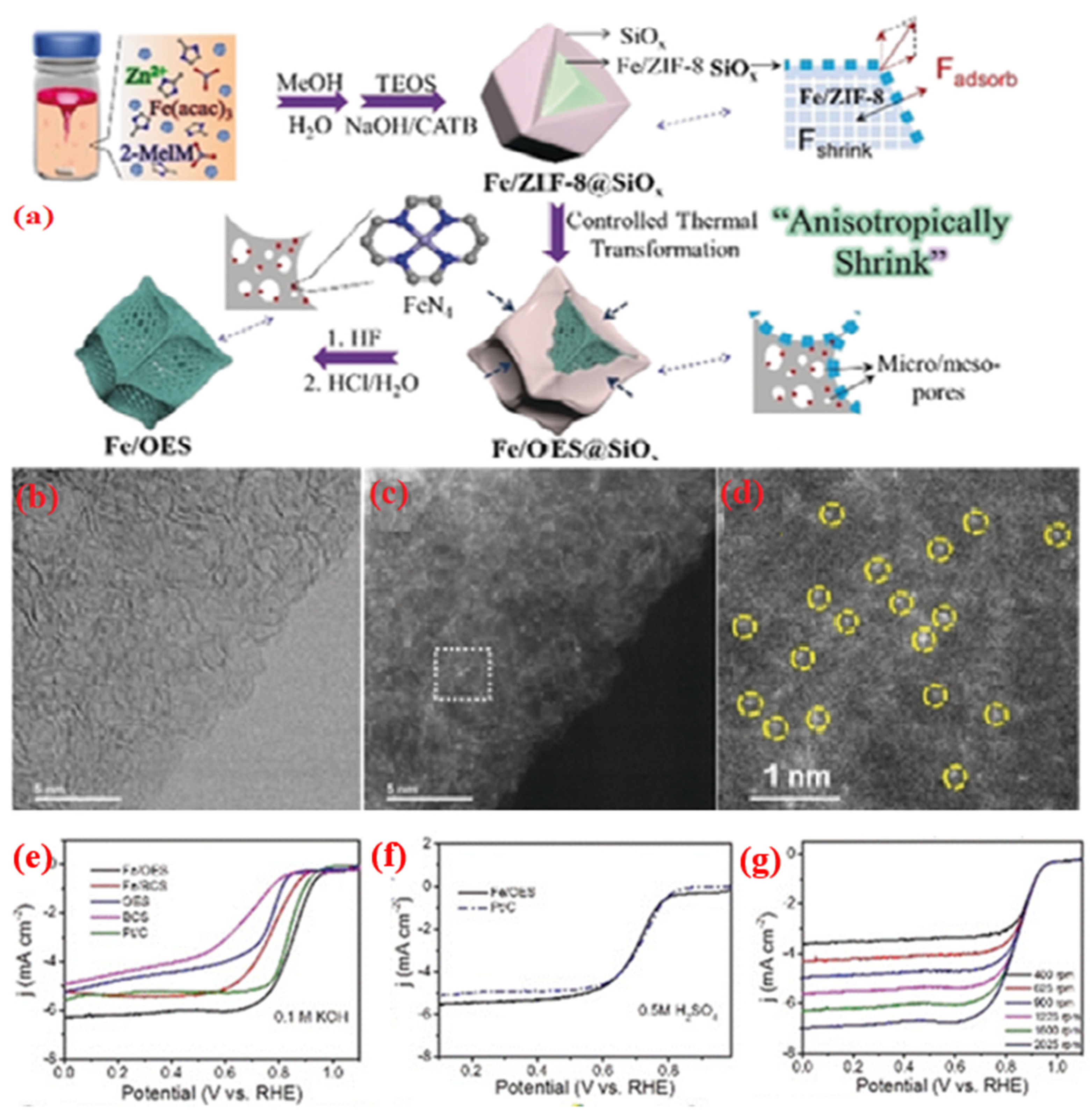 Molecules 28 07751 g014