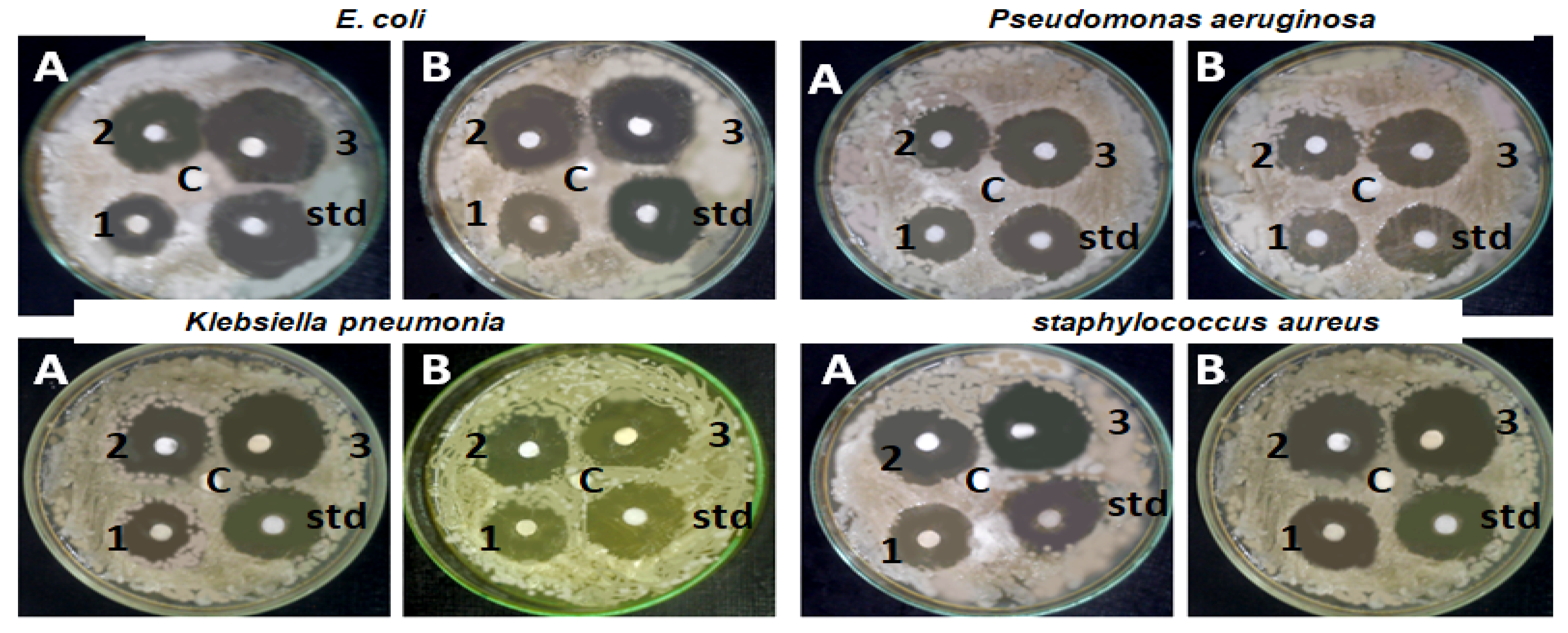 Molecules 28 07762 g008