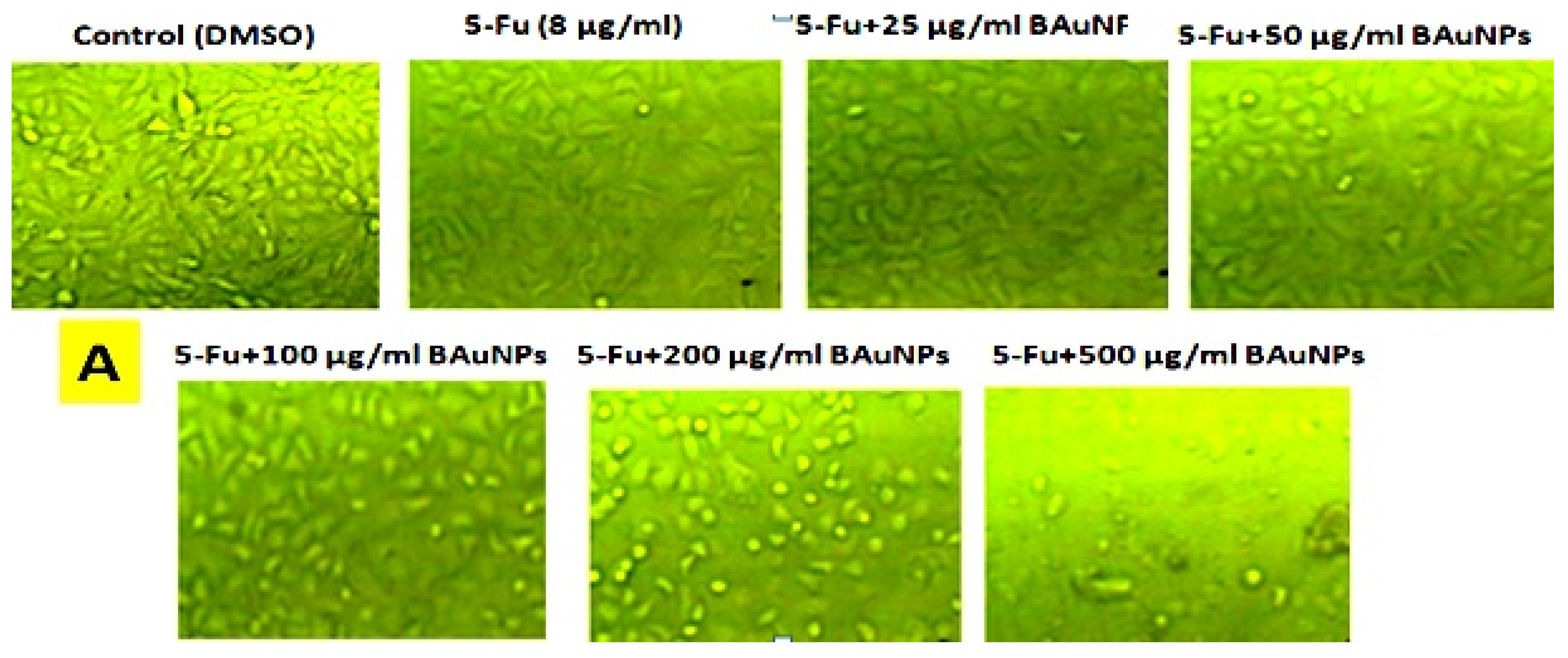 Molecules 28 07762 g011a