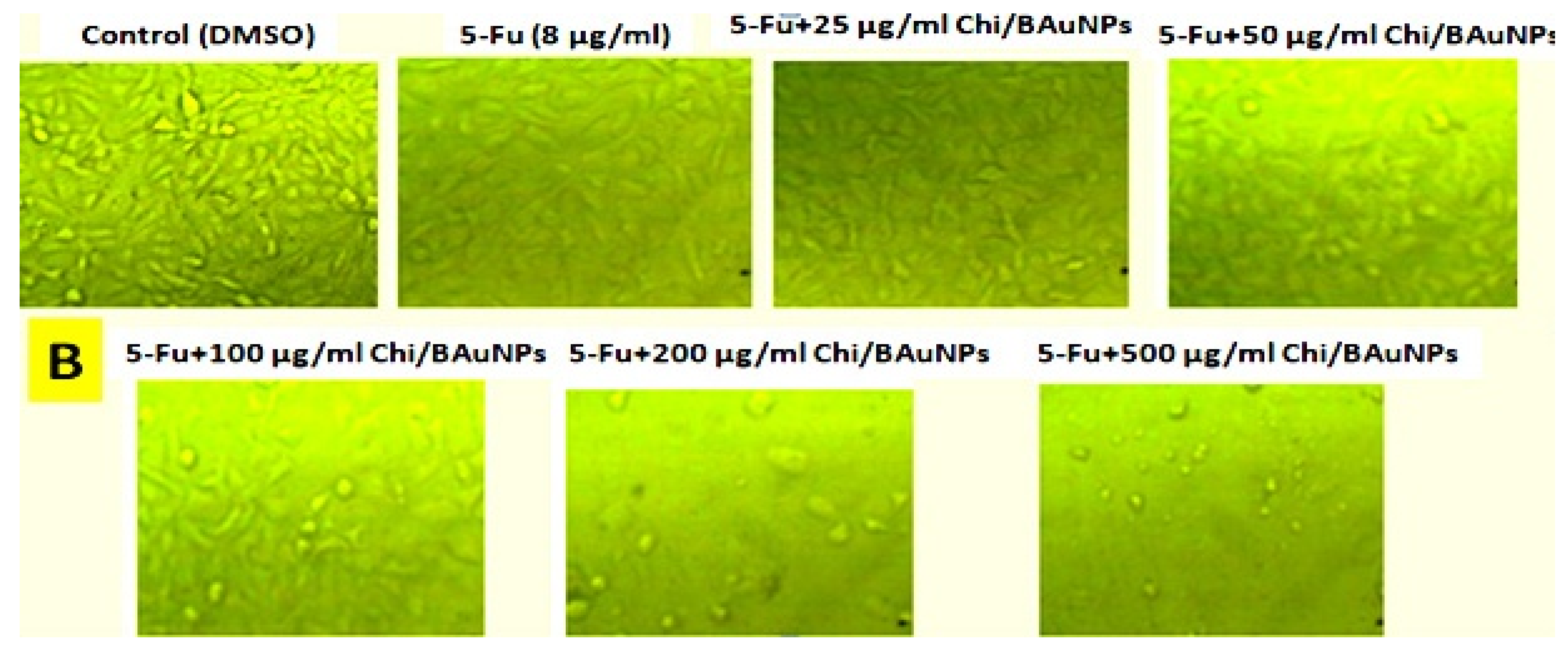 Molecules 28 07762 g011b