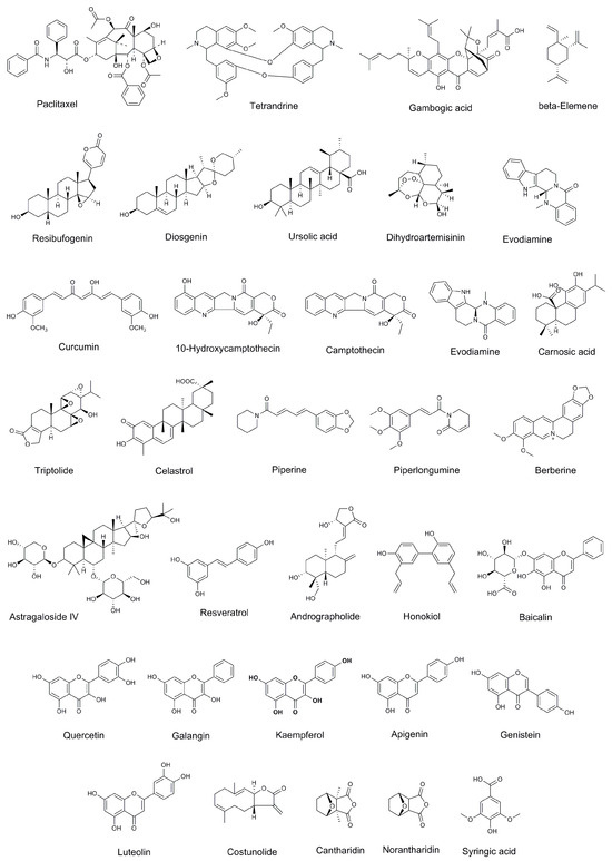 Recent Advances in Nanotechnology-Based Targeted Delivery Systems of ...