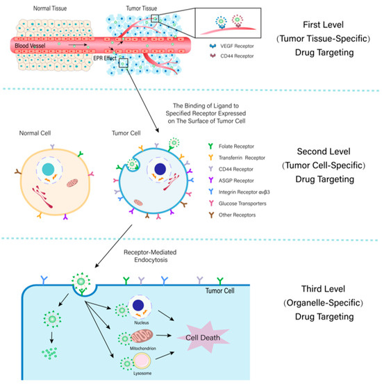 Recent Advances in Nanotechnology-Based Targeted Delivery Systems of ...