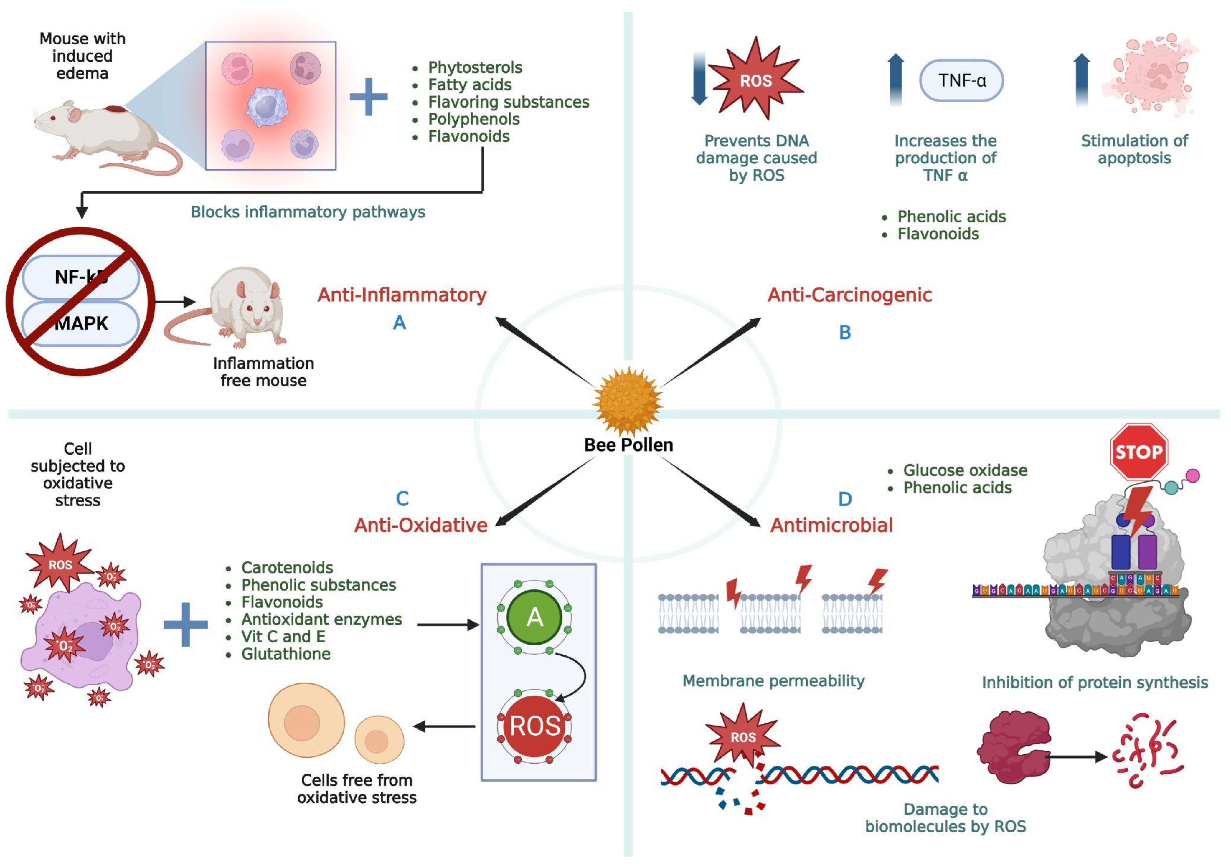 Molecules 28 07768 g008