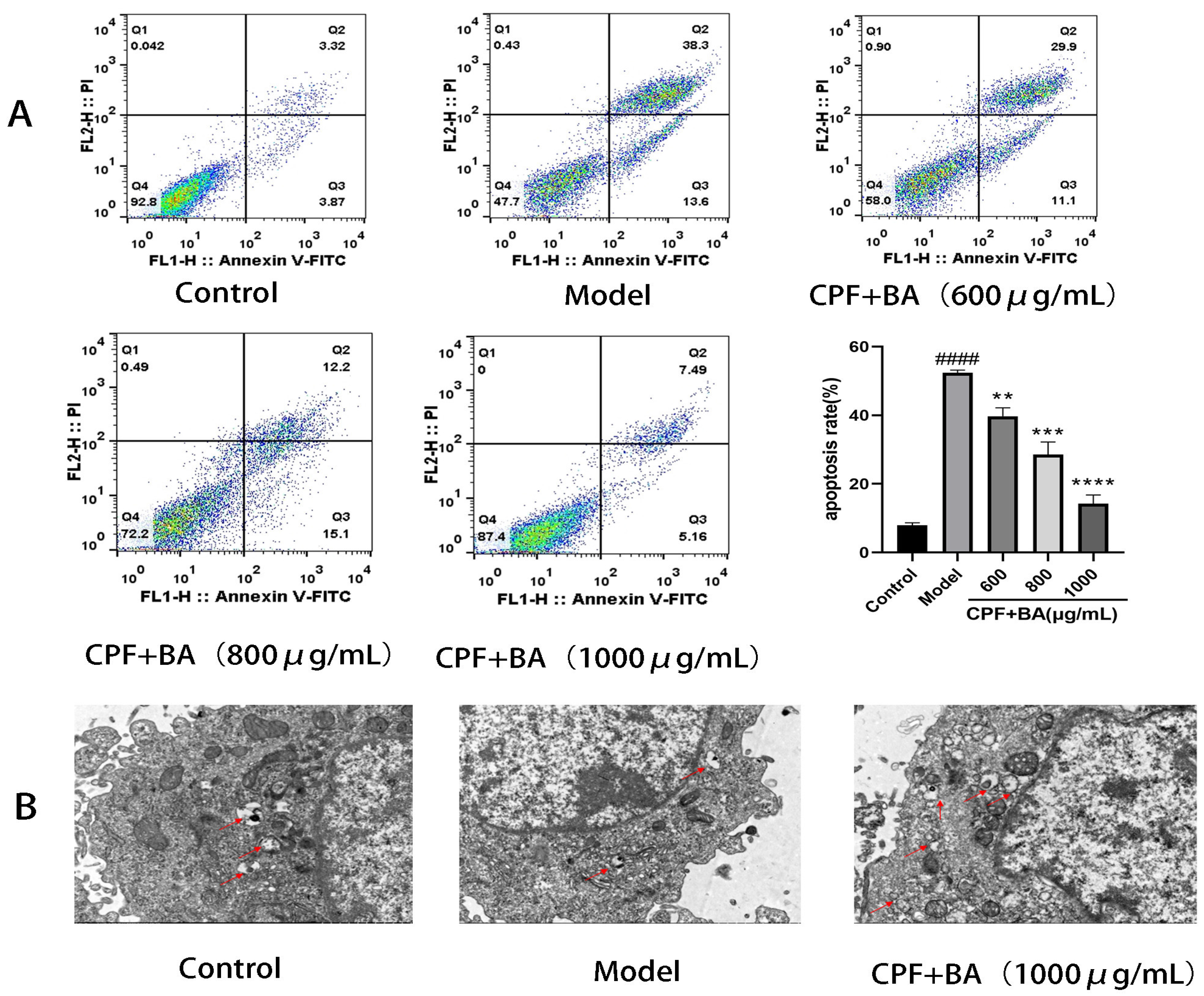 Molecules 28 07771 g003