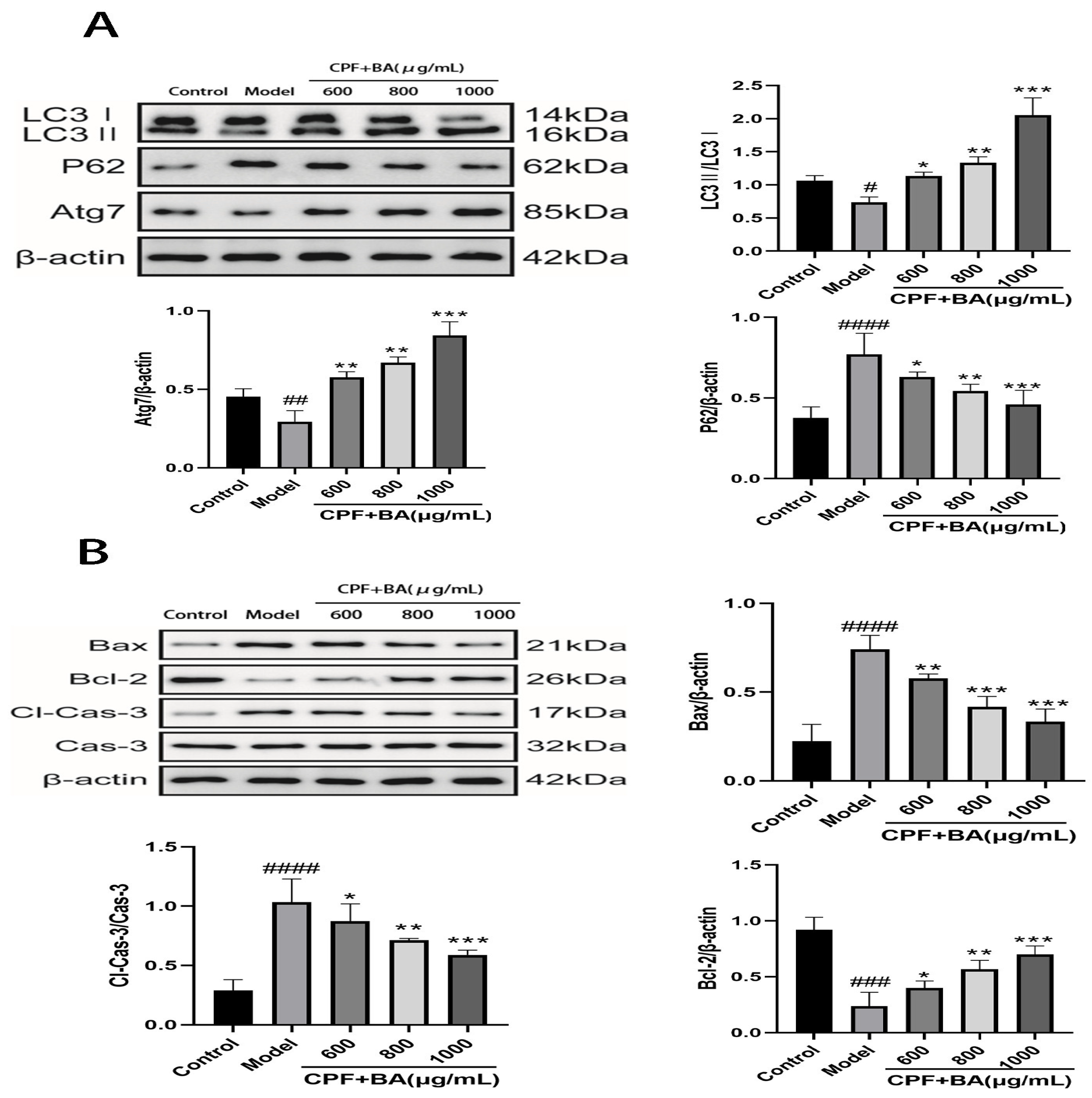 Molecules 28 07771 g004
