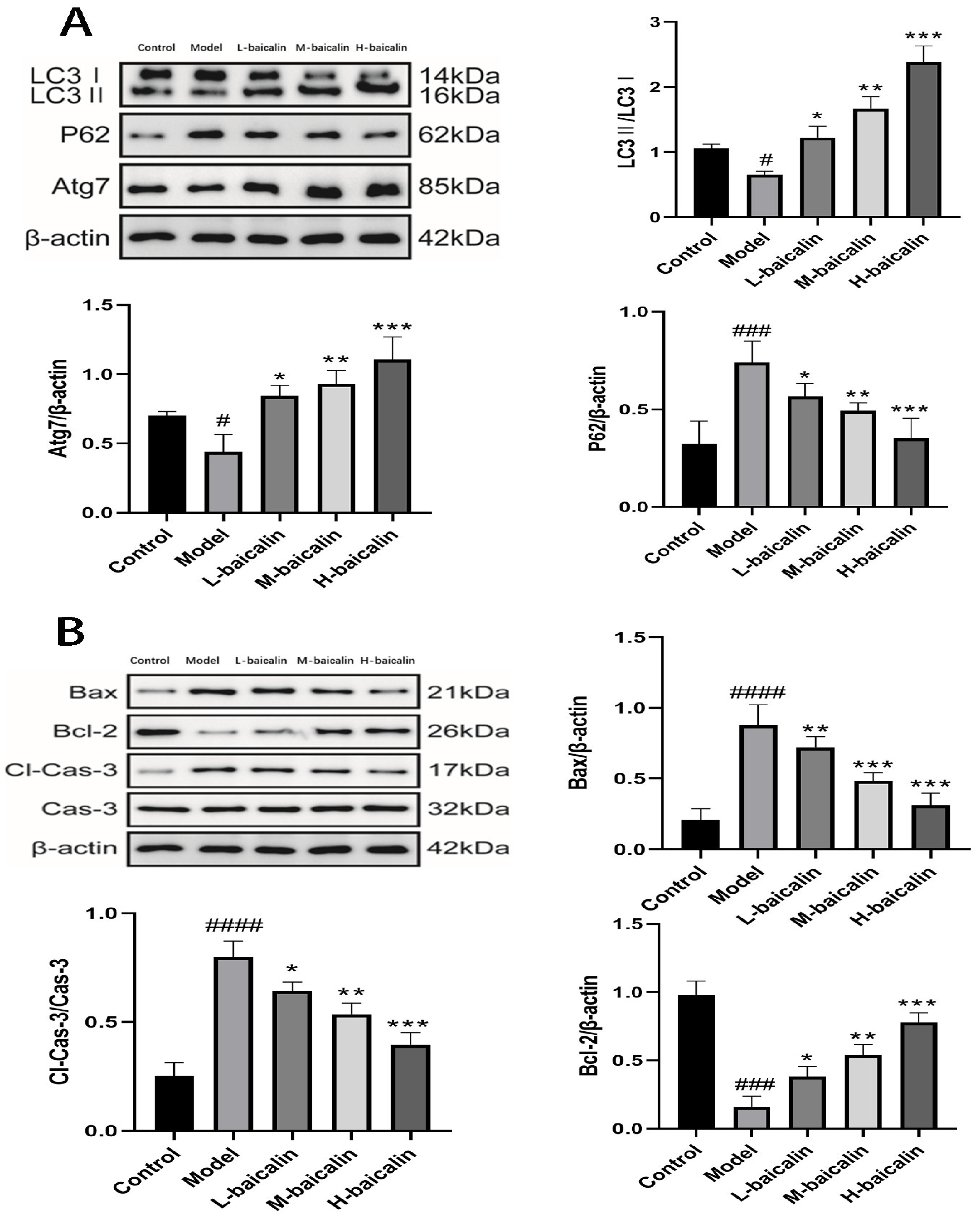 Molecules 28 07771 g007