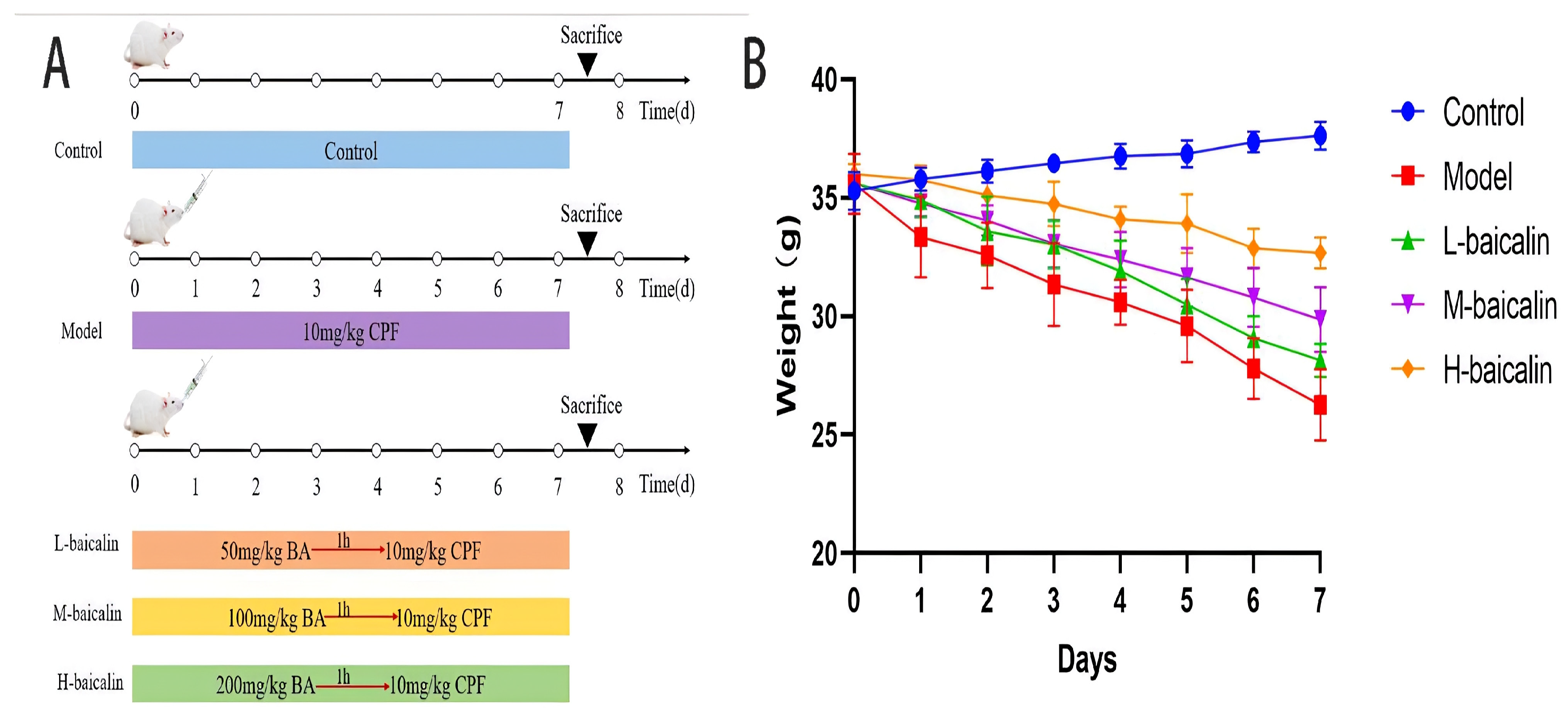 Molecules 28 07771 g008