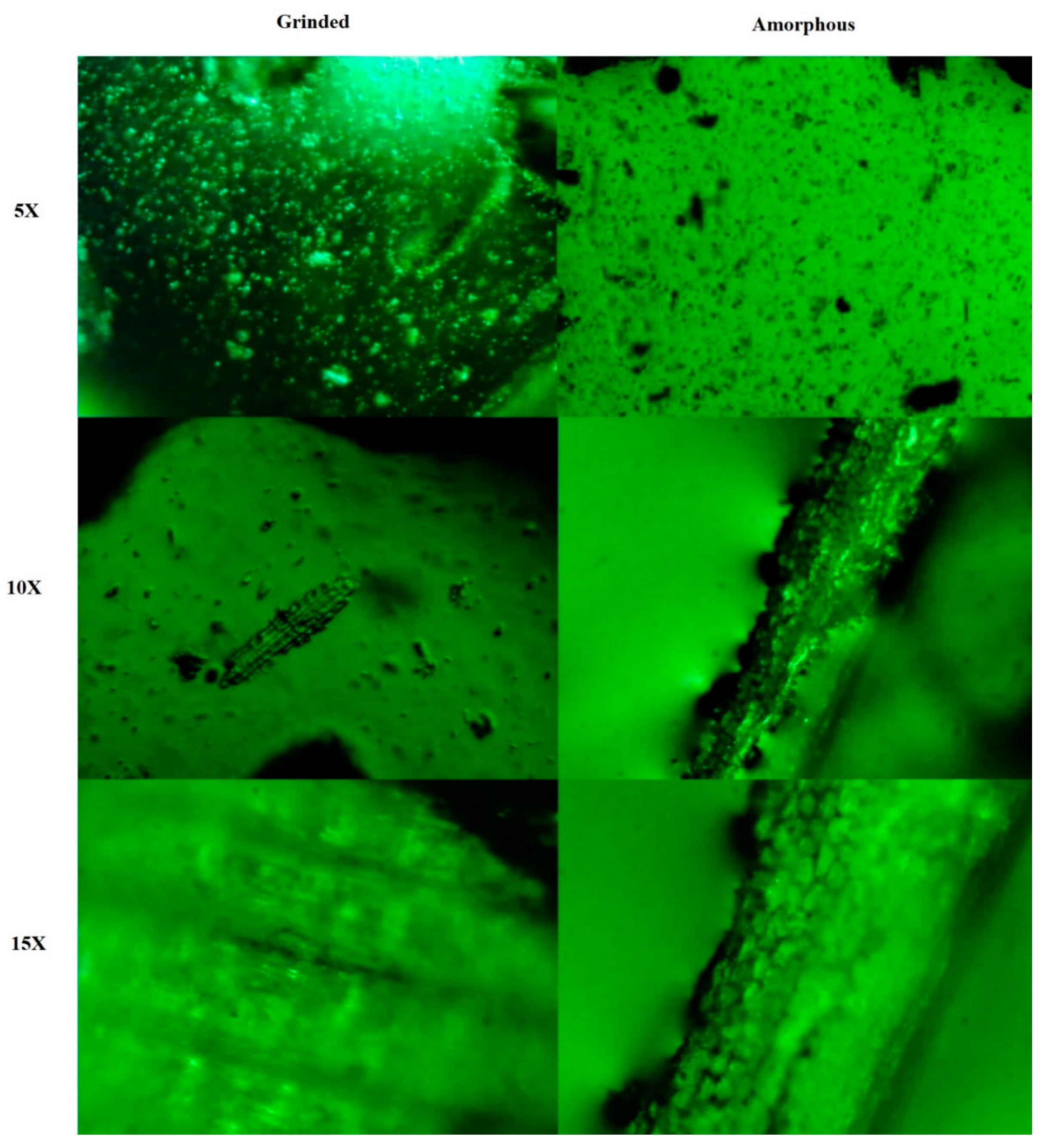 Molecules 28 07773 g002