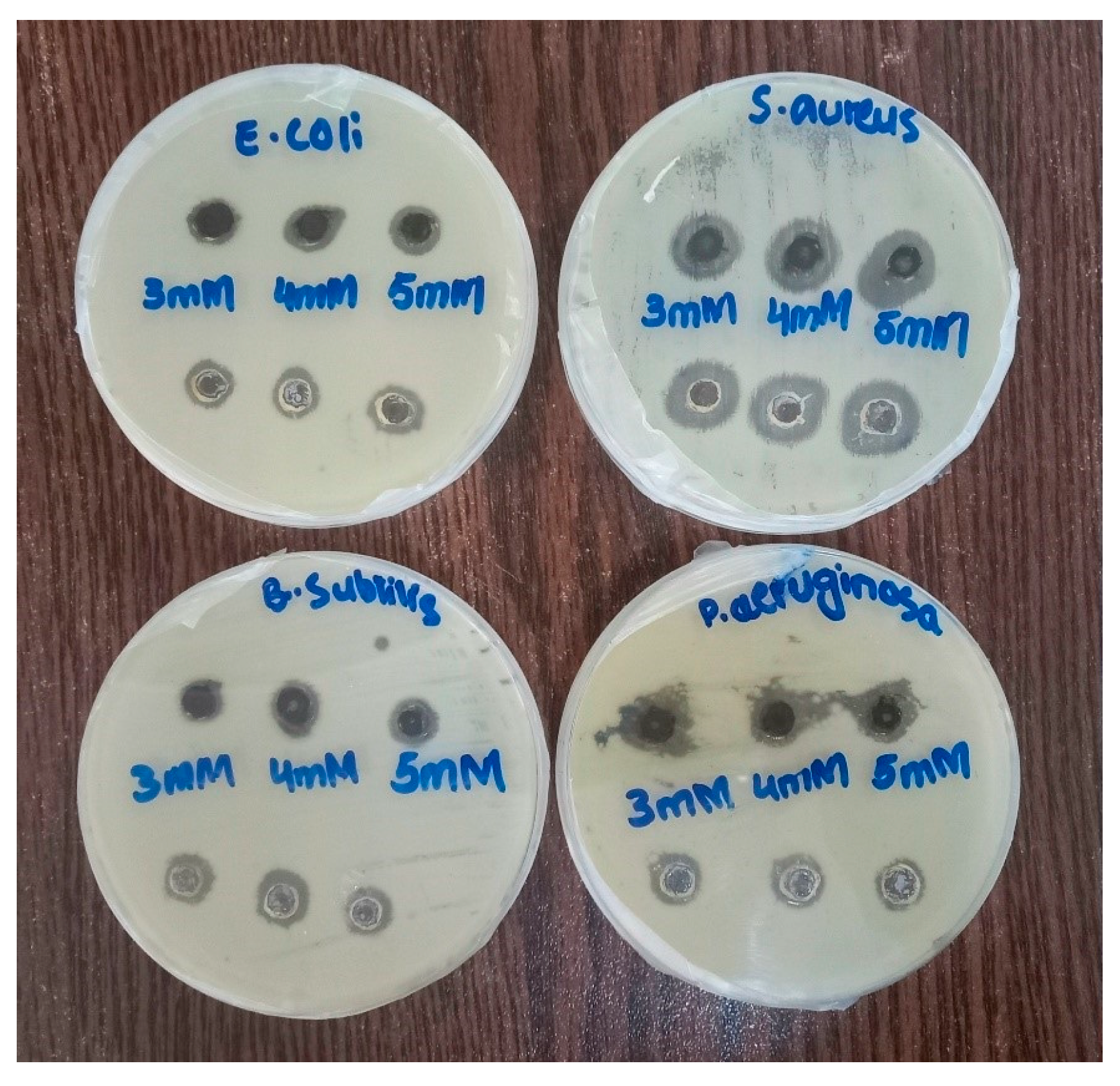 Molecules 28 07773 g010