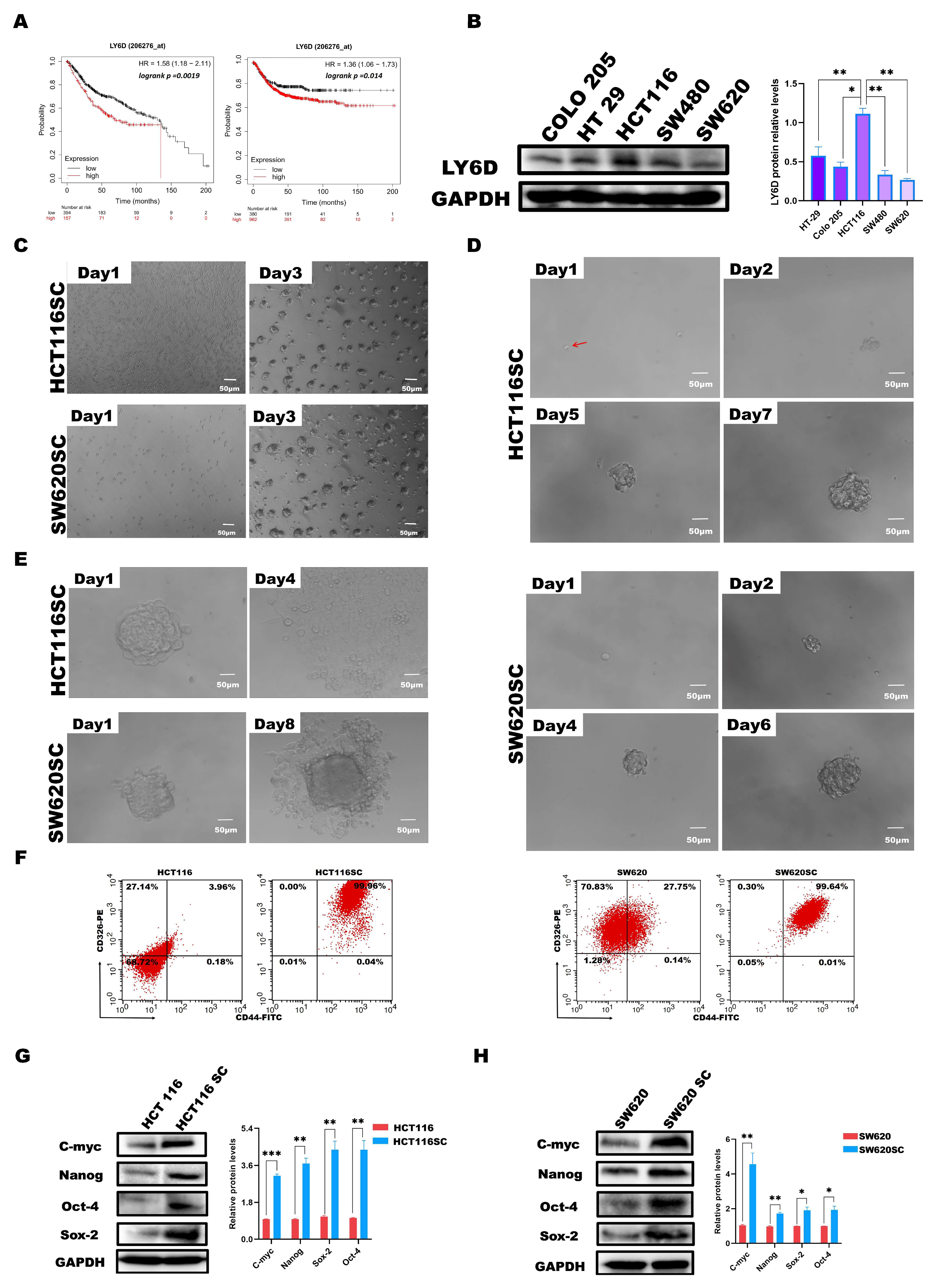 Molecules 28 07776 g001