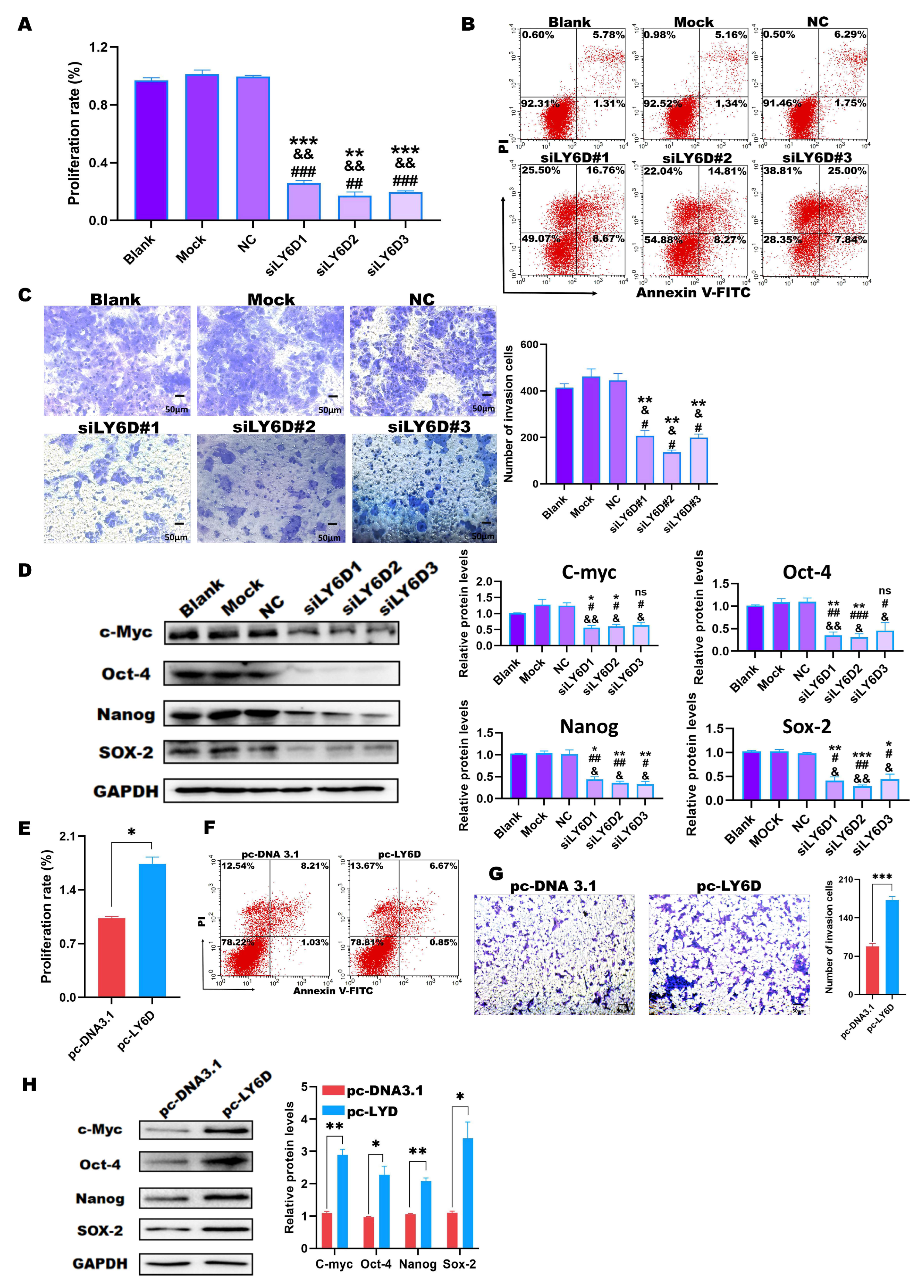 Molecules 28 07776 g003