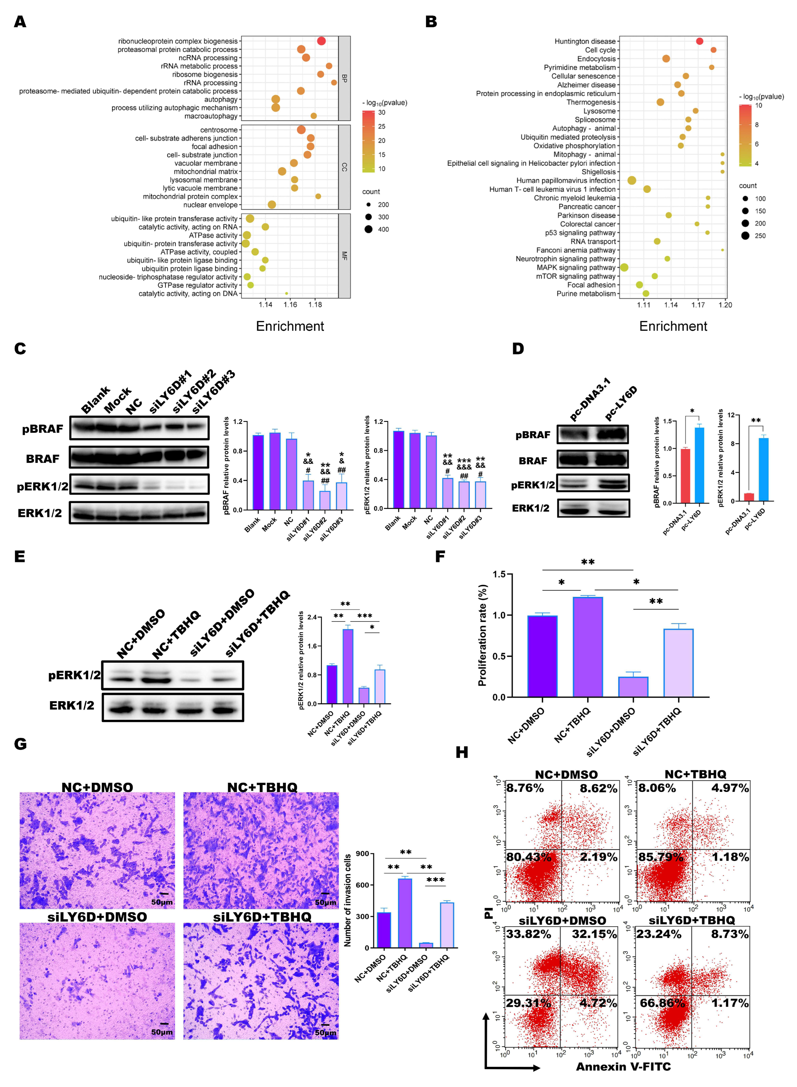 Molecules 28 07776 g004