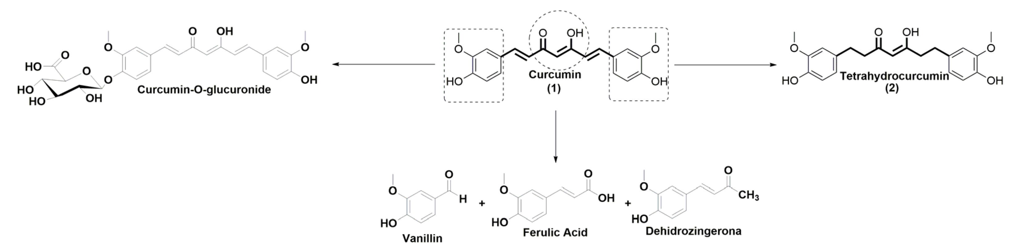 Molecules 28 07787 g001 Molecules 28 07787 g001