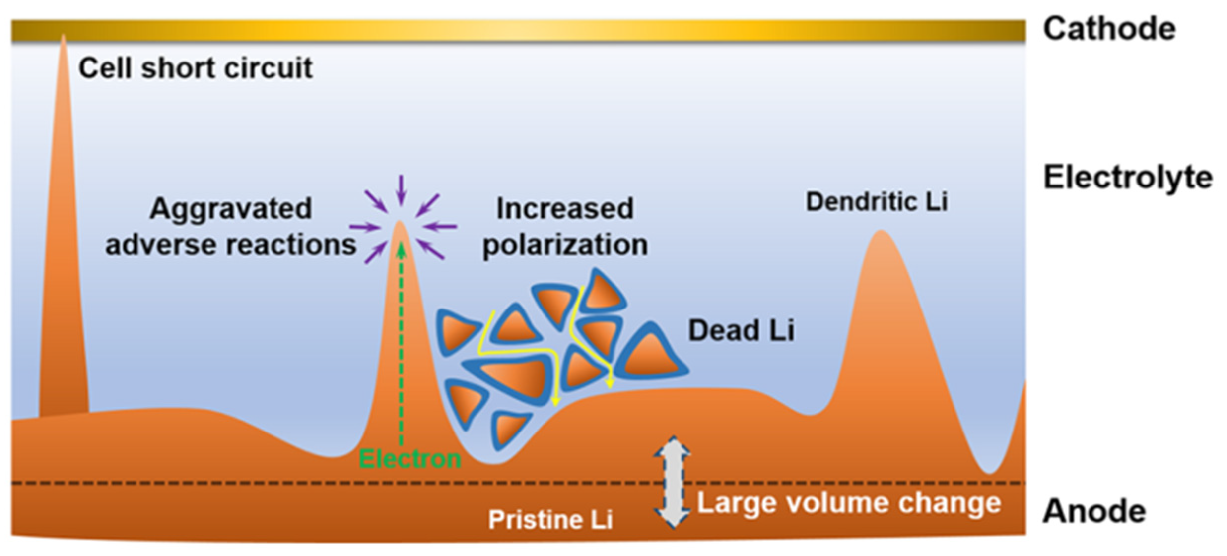 Molecules 28 07788 g001