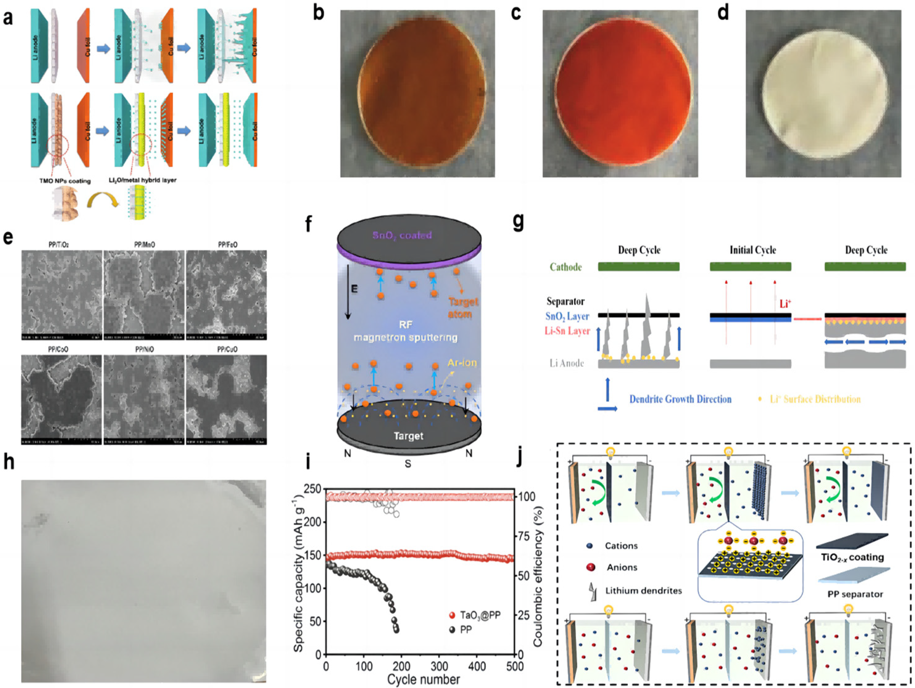Molecules 28 07788 g003