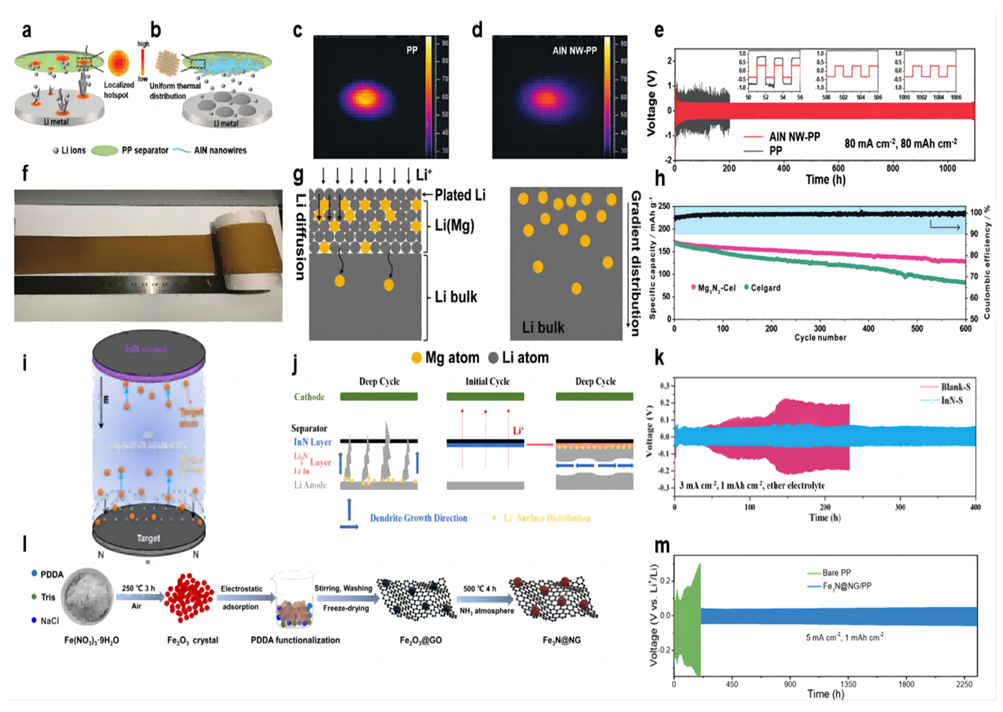 Molecules 28 07788 g004