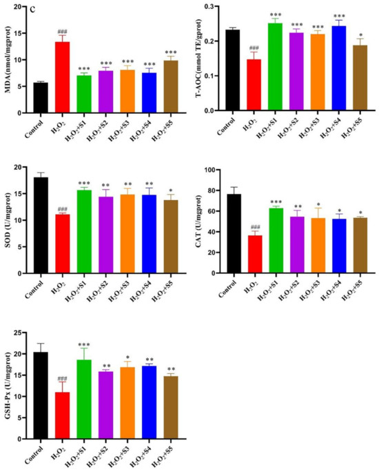 Influence of Five Drying Methods on Active Compound Contents