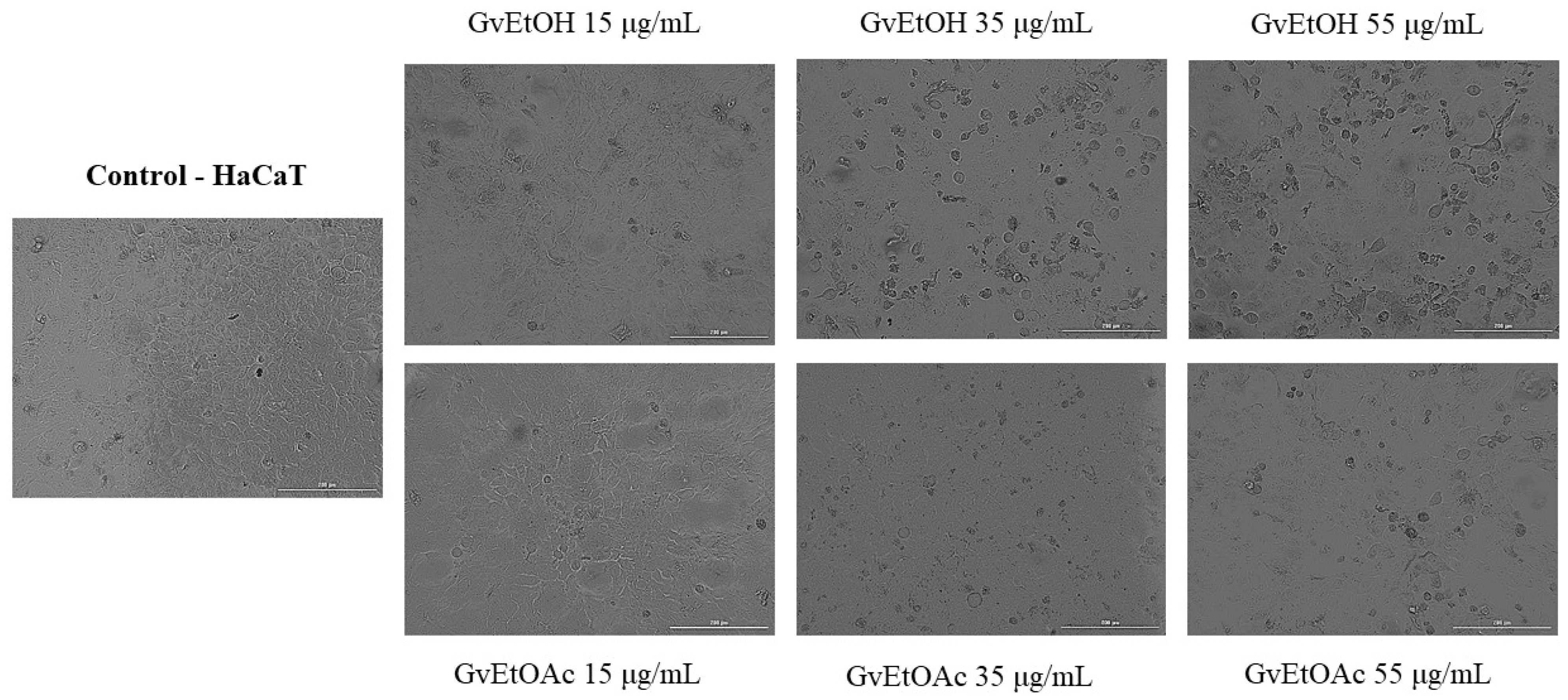 Molecules 28 07804 g006