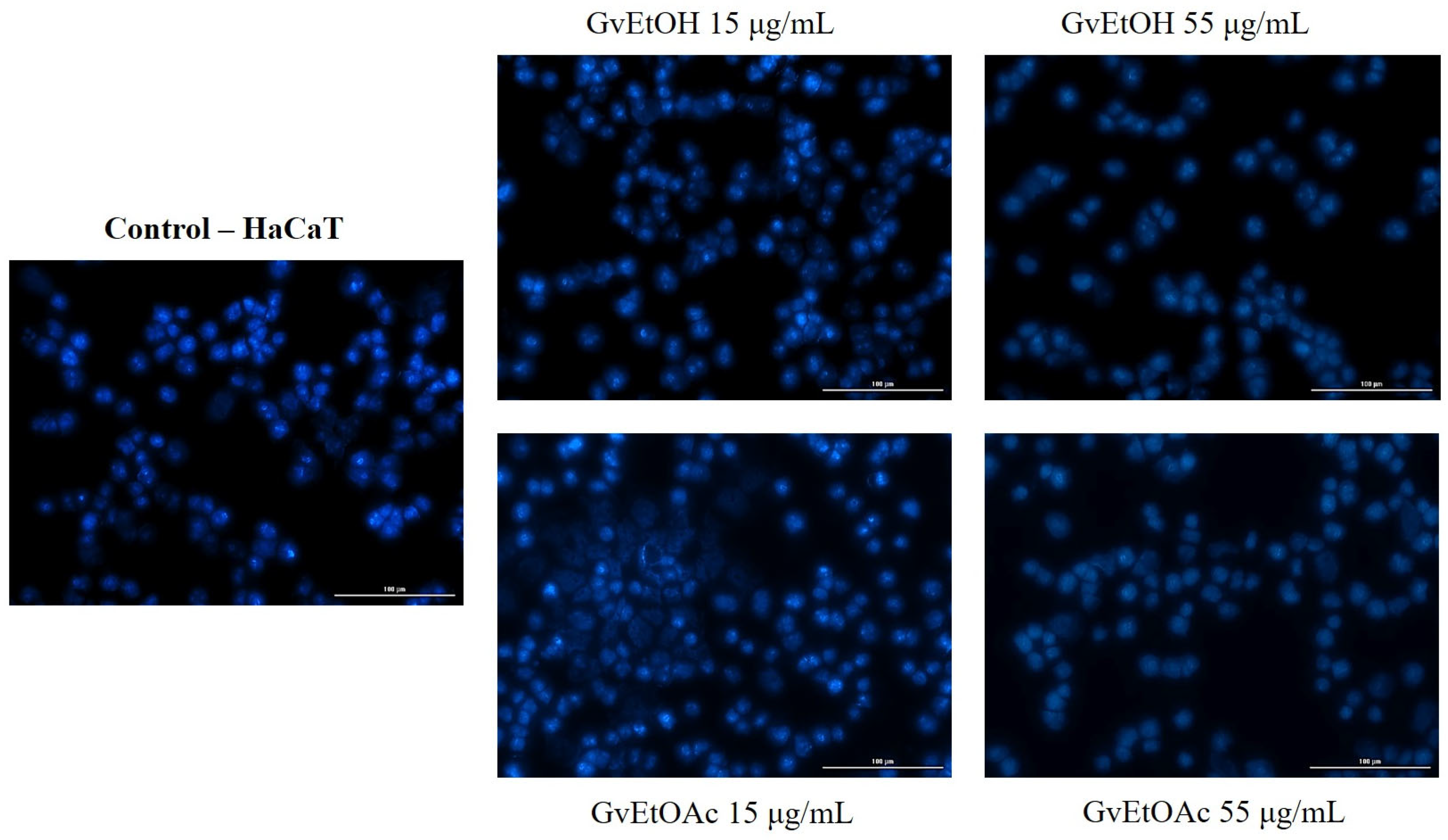 Molecules 28 07804 g008