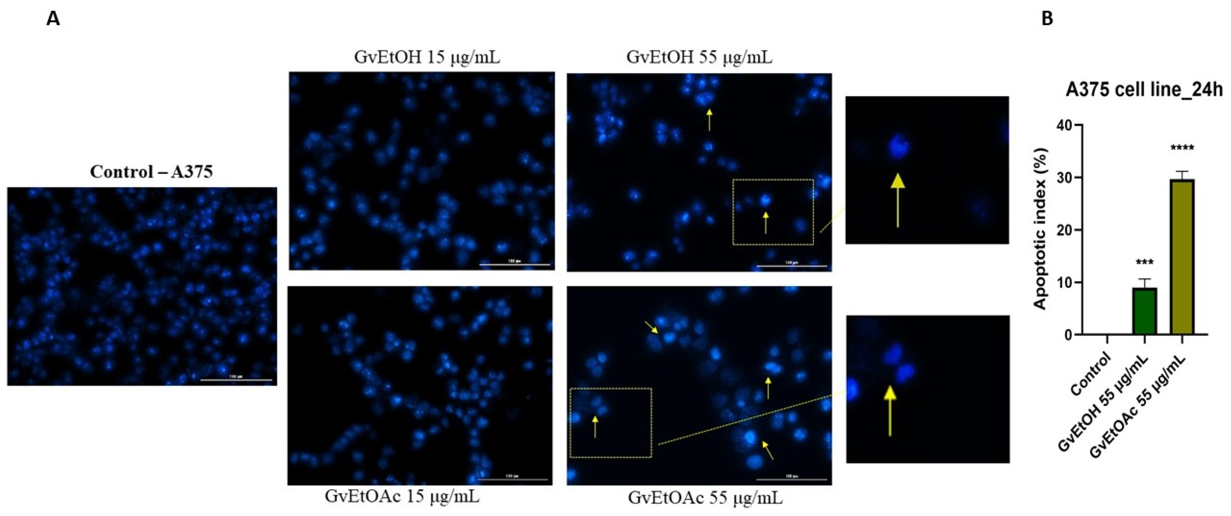 Molecules 28 07804 g009