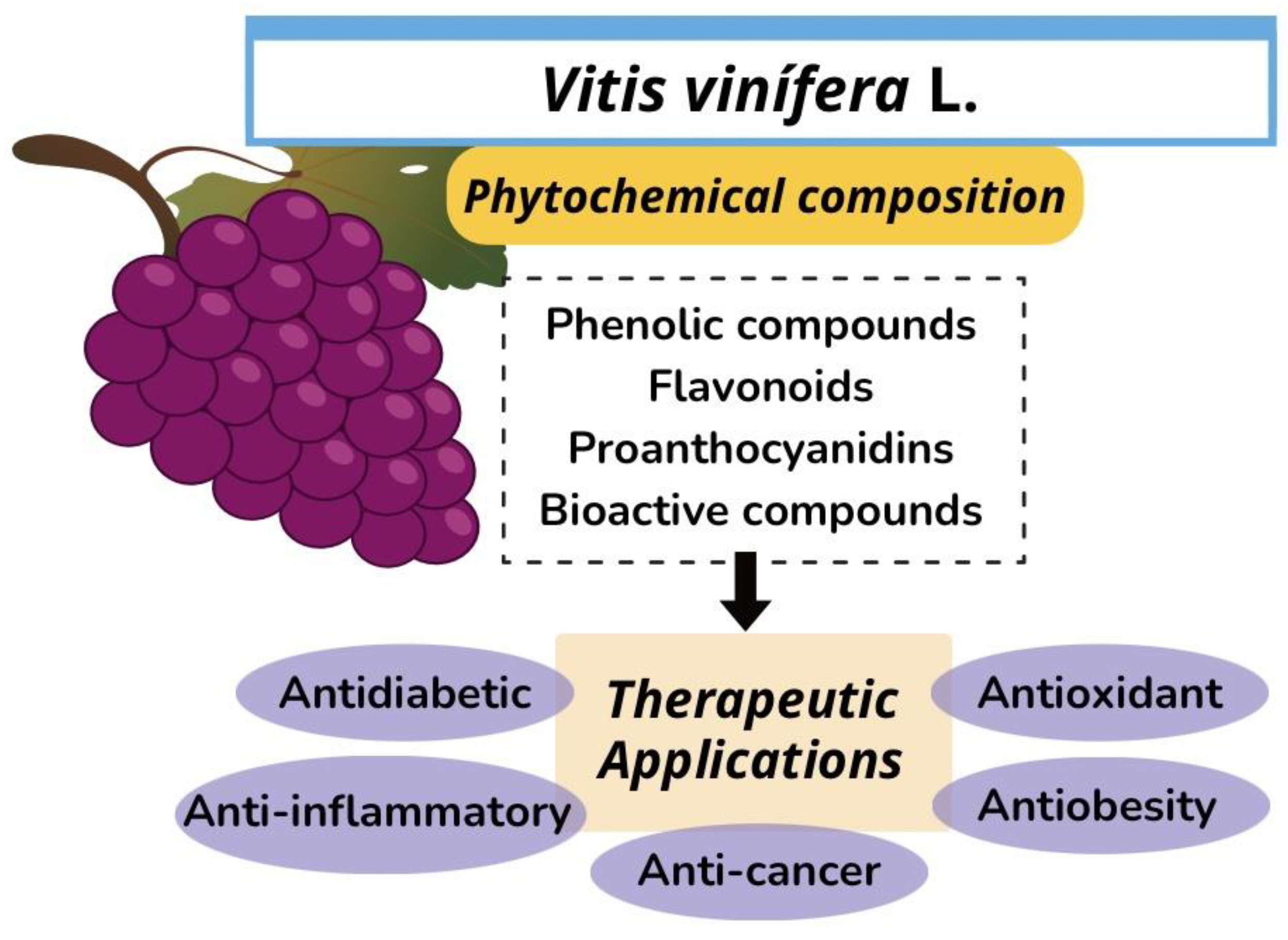 Molecules 28 07811 g001