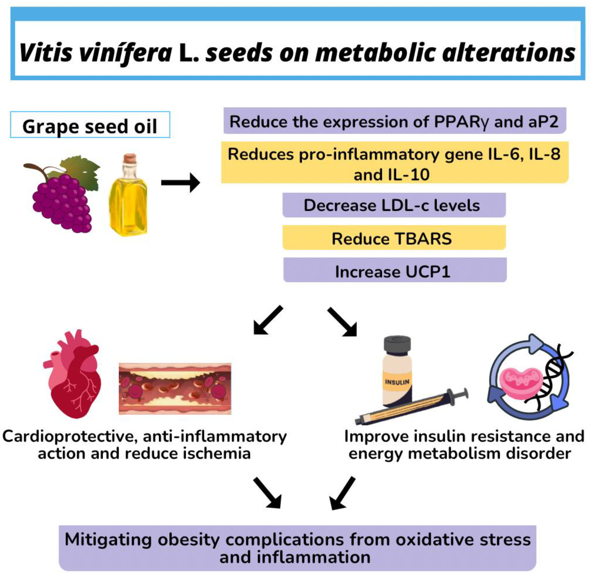 Molecules 28 07811 g003