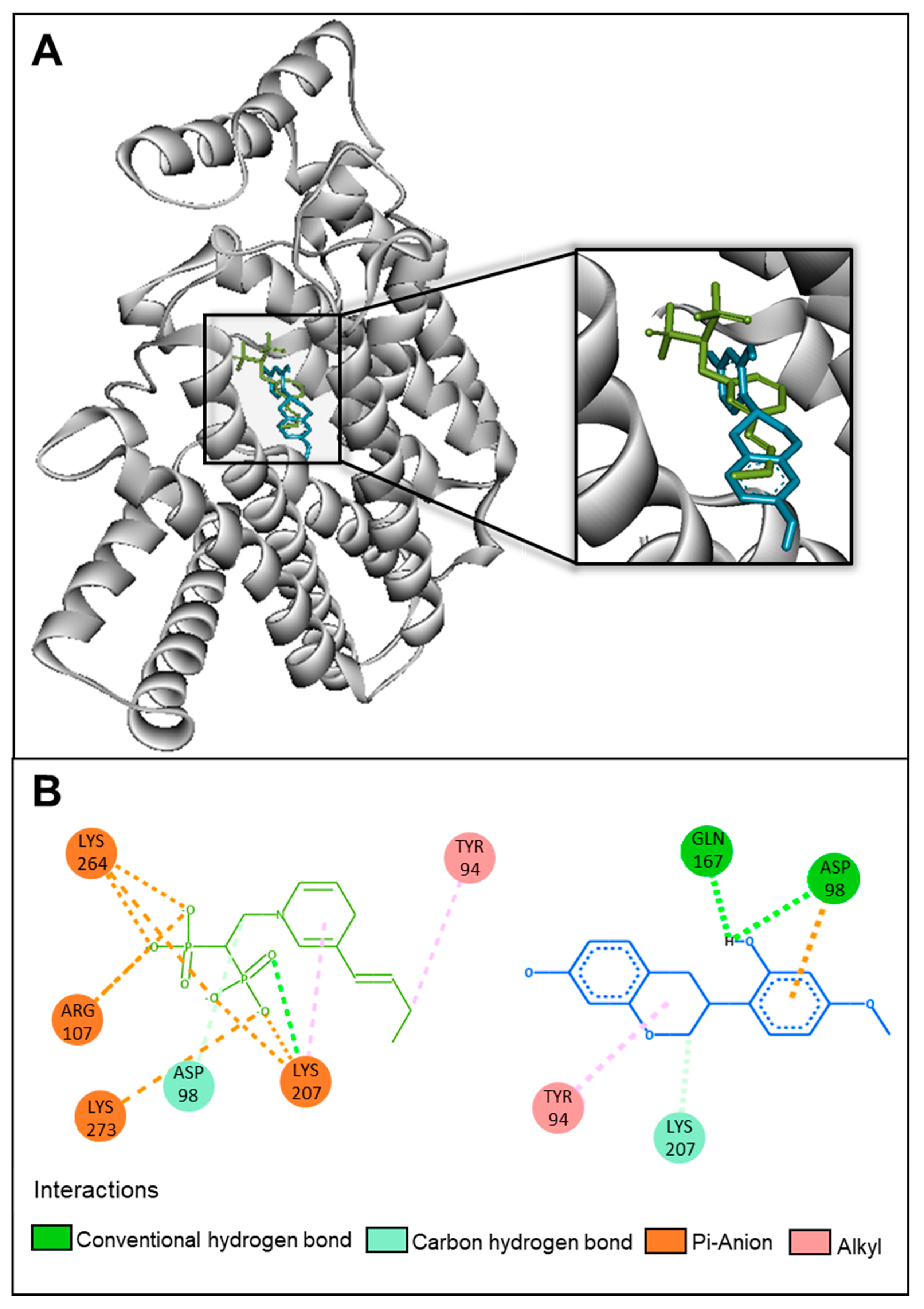 Molecules 28 07812 g004