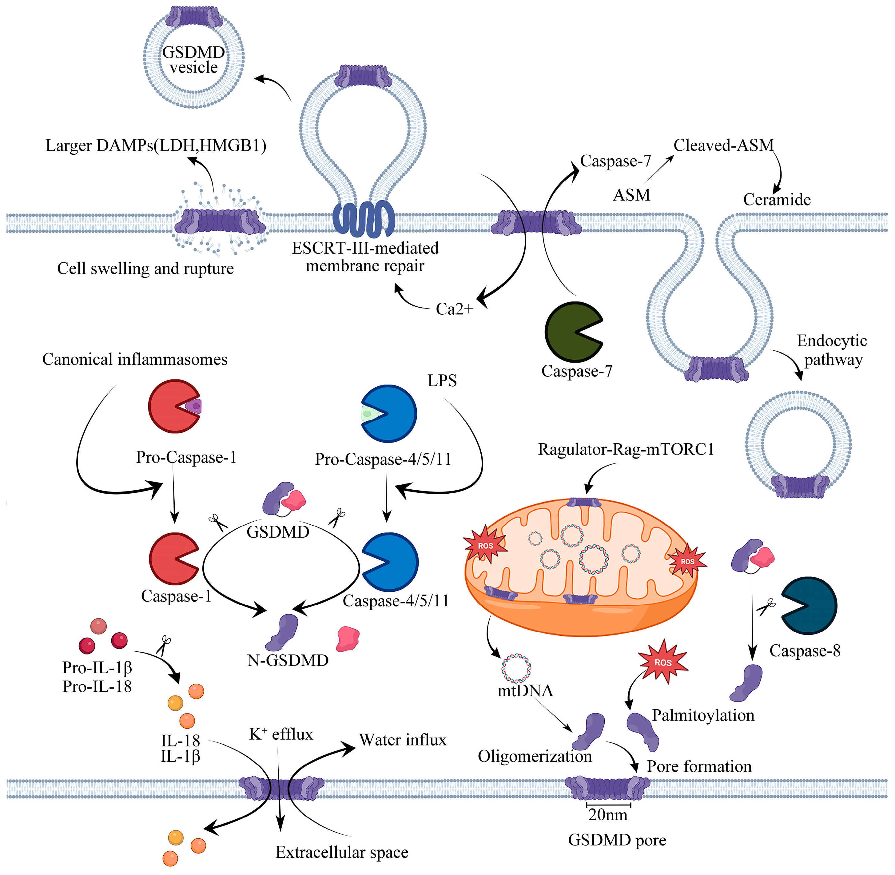 Molecules 28 07813 g001