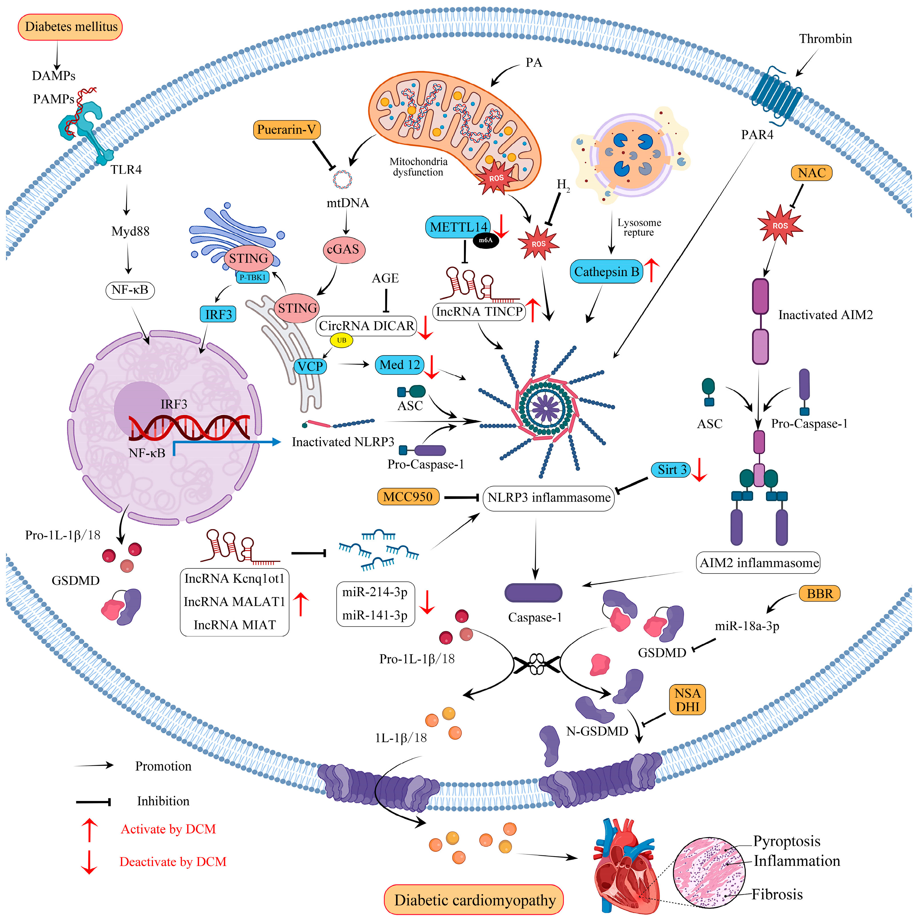 Molecules 28 07813 g002