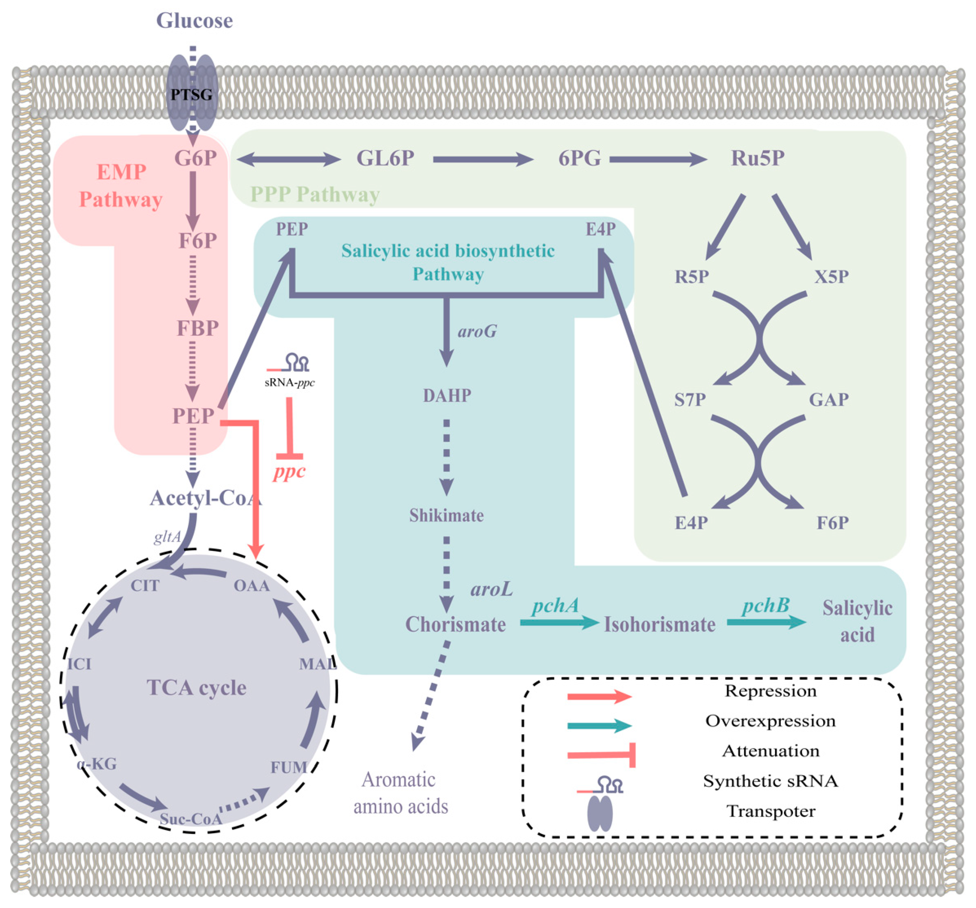Molecules 28 07825 g001
