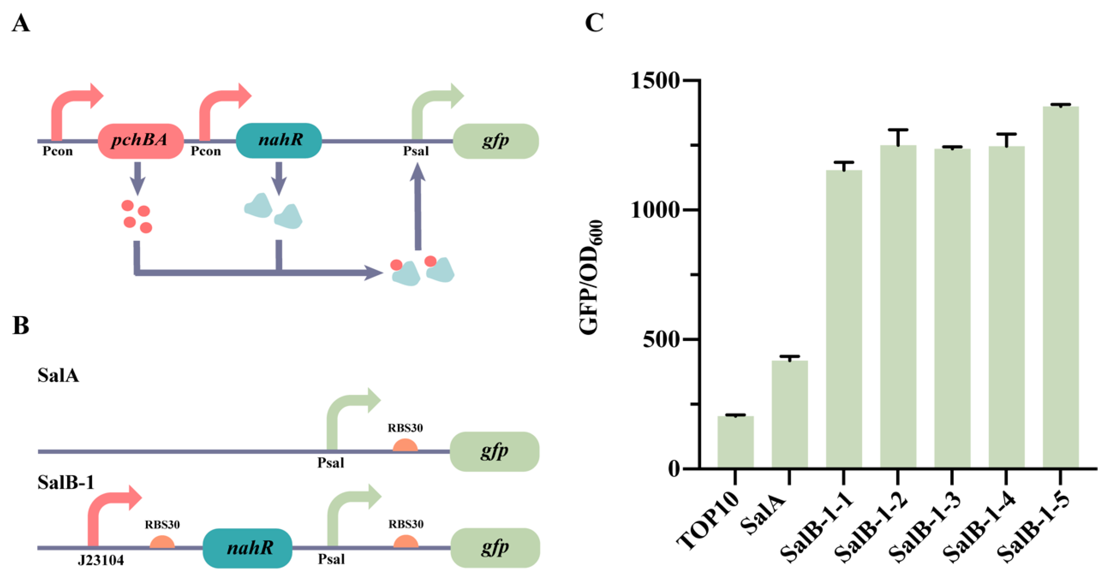 Molecules 28 07825 g002