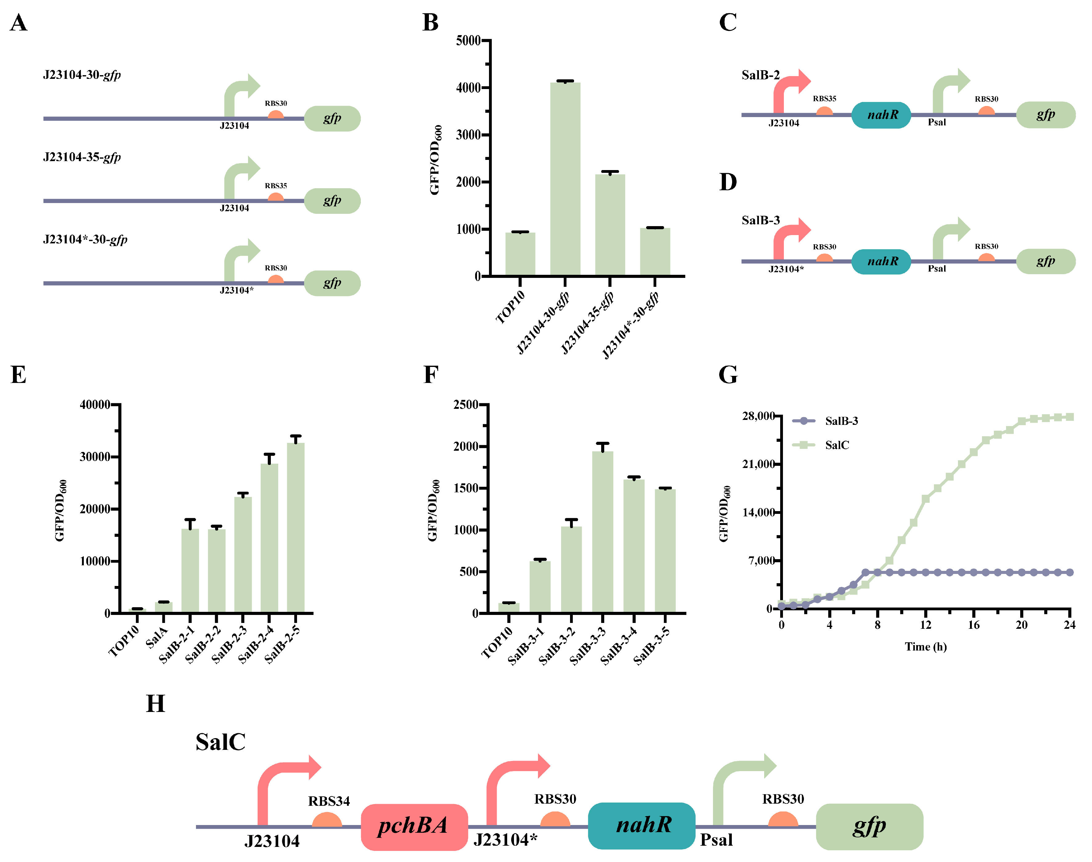 Molecules 28 07825 g003