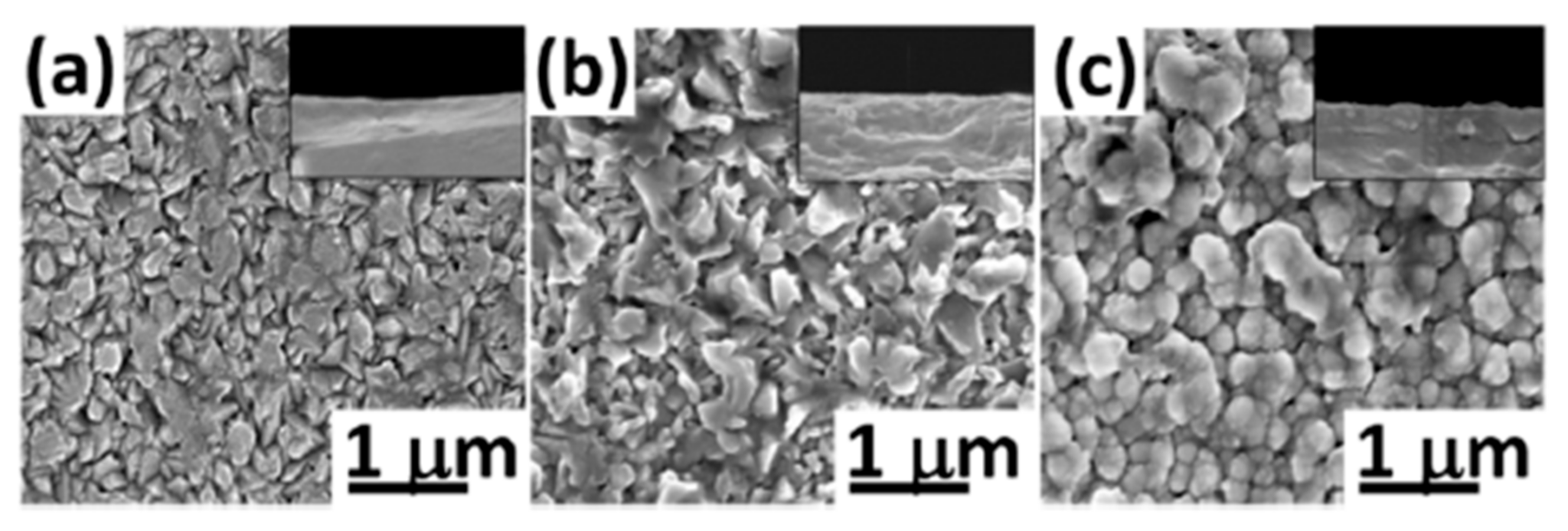 Molecules 28 07828 g003