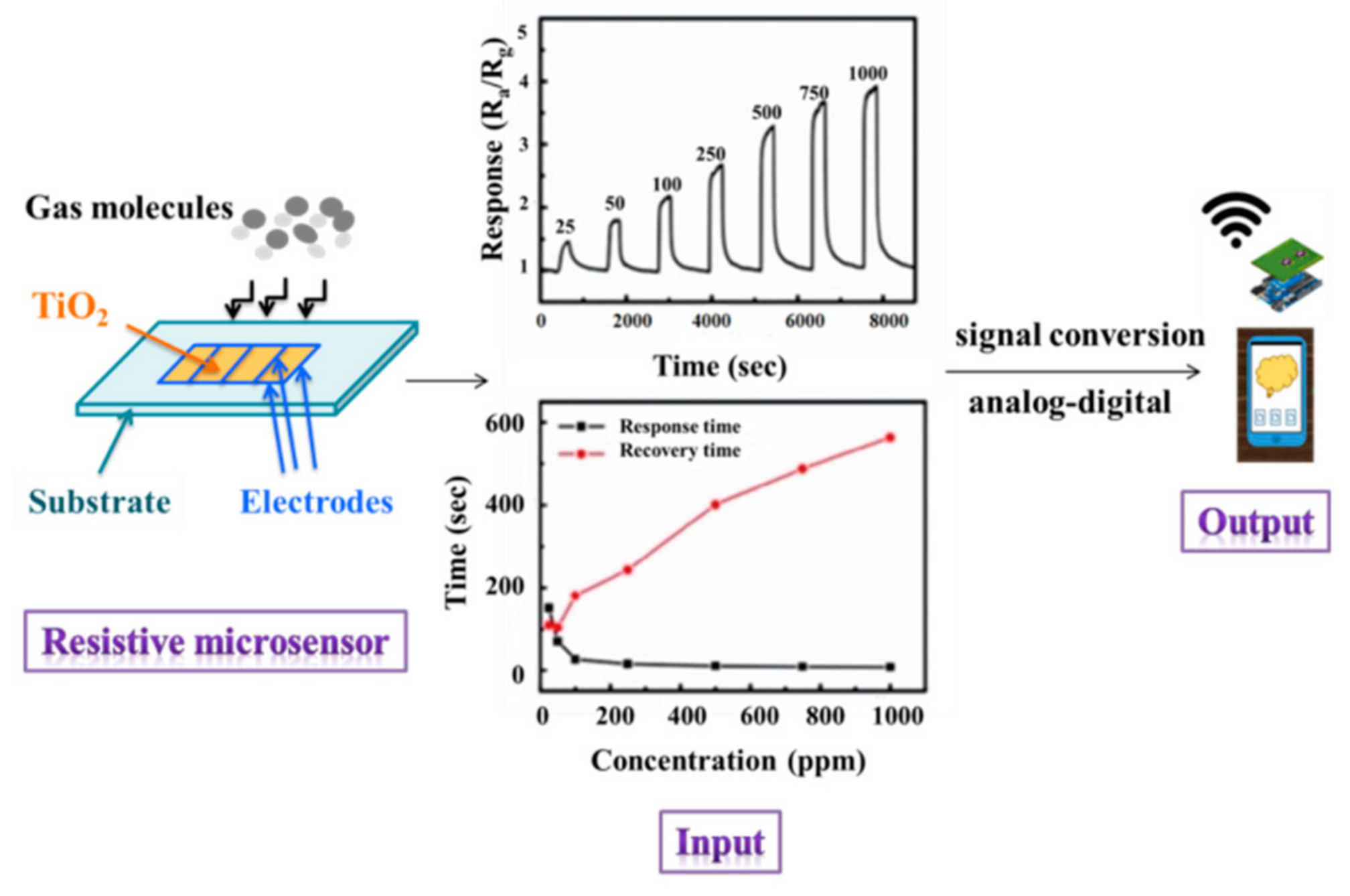 Molecules 28 07828 g012