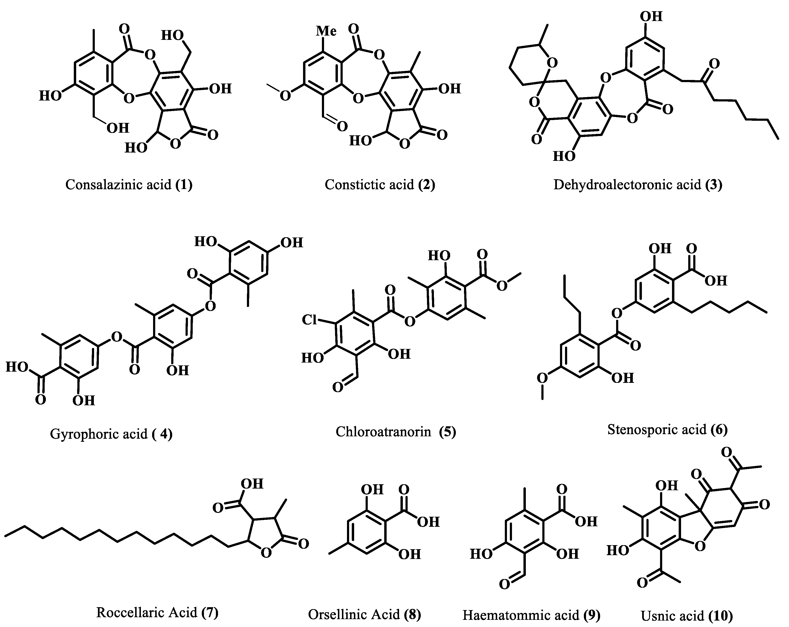 Molecules 28 07840 g002