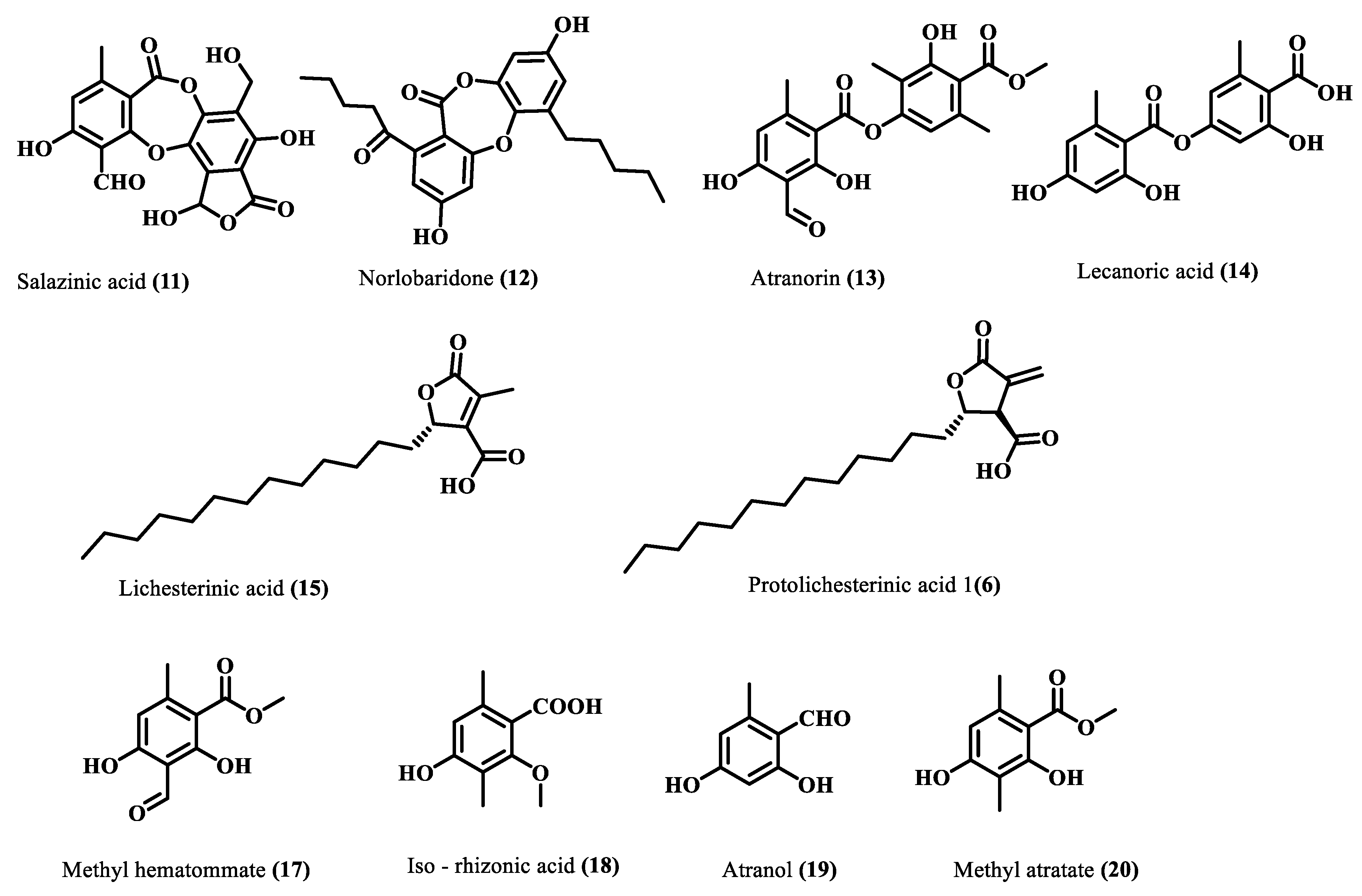 Molecules 28 07840 g003
