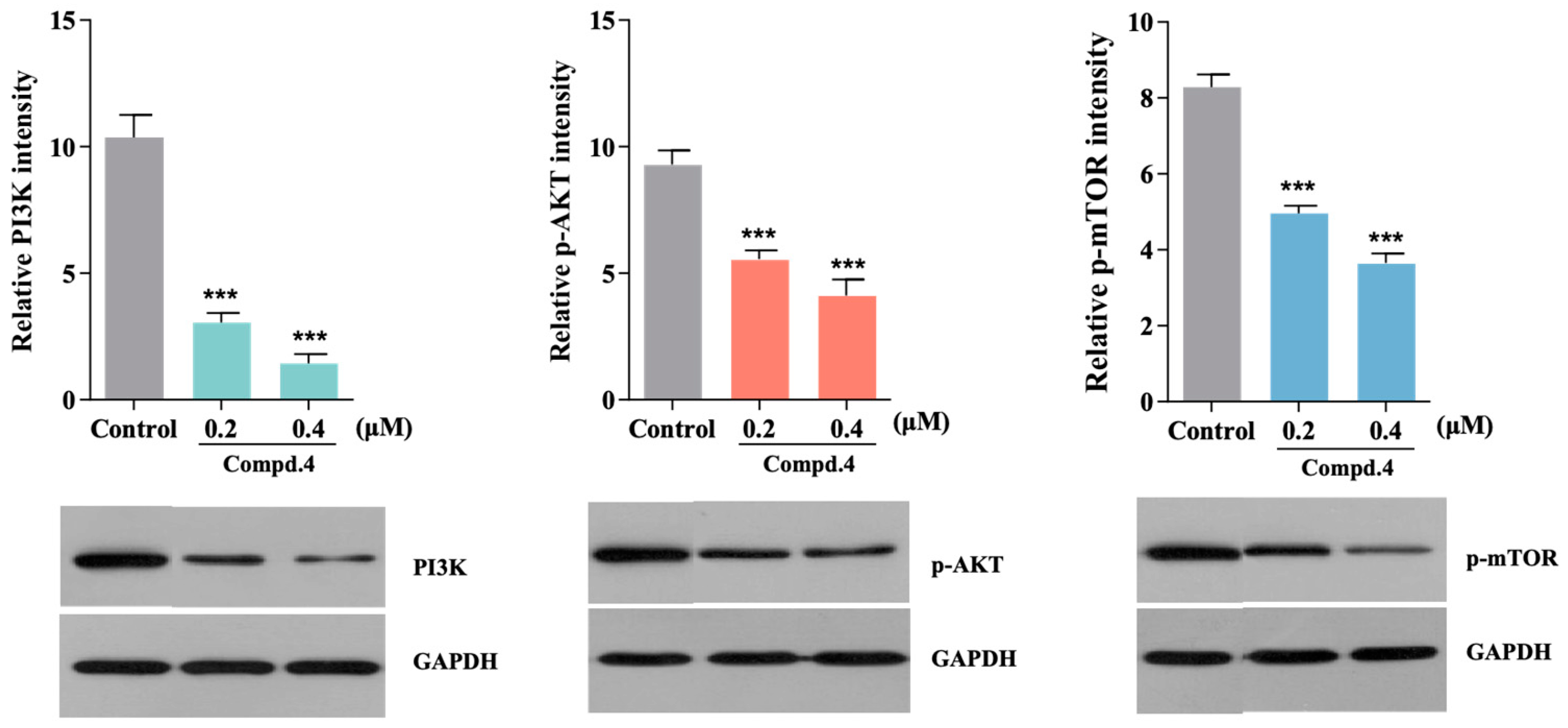 Molecules 28 07847 g005
