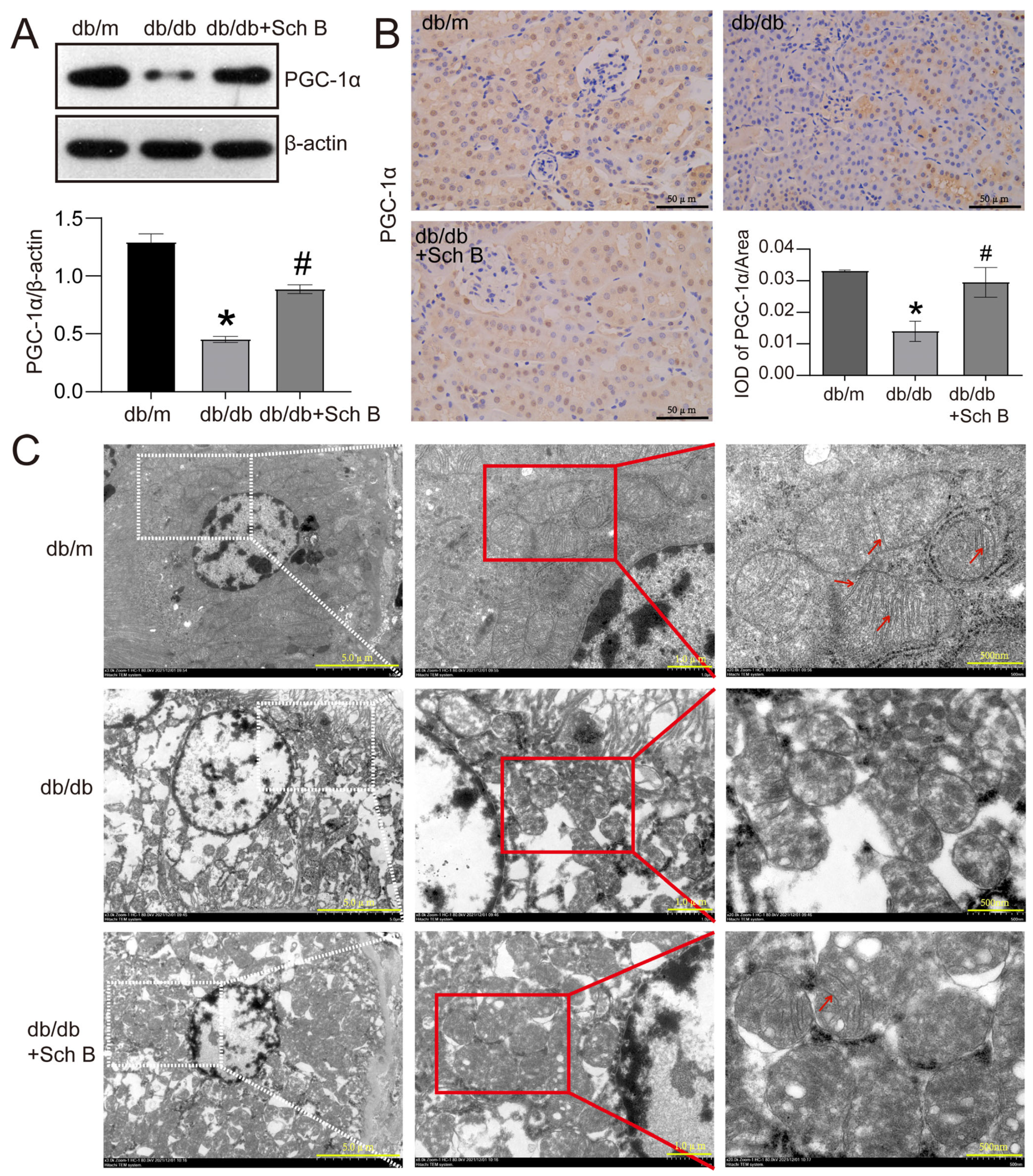 Molecules 28 07851 g002