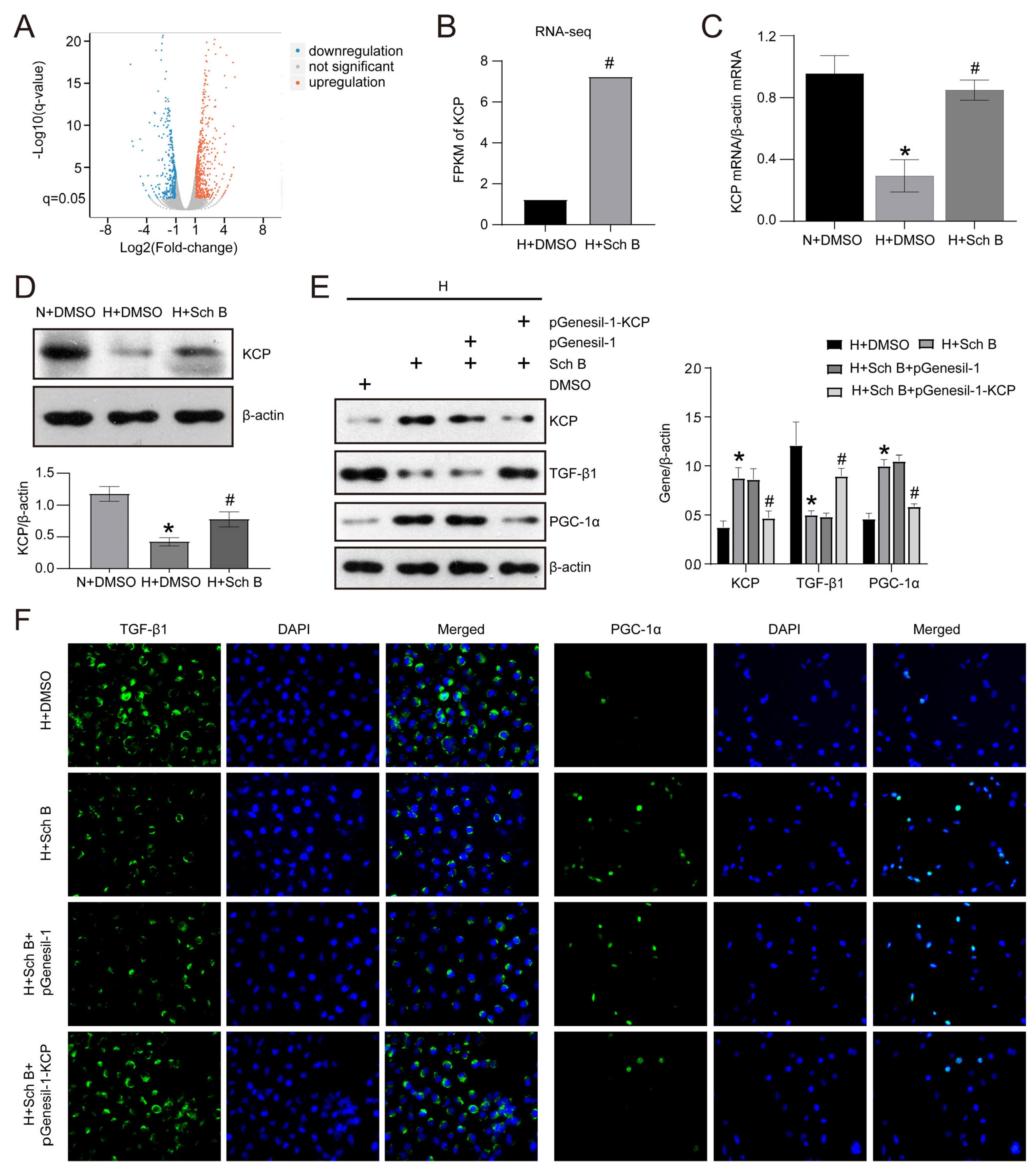 Molecules 28 07851 g005