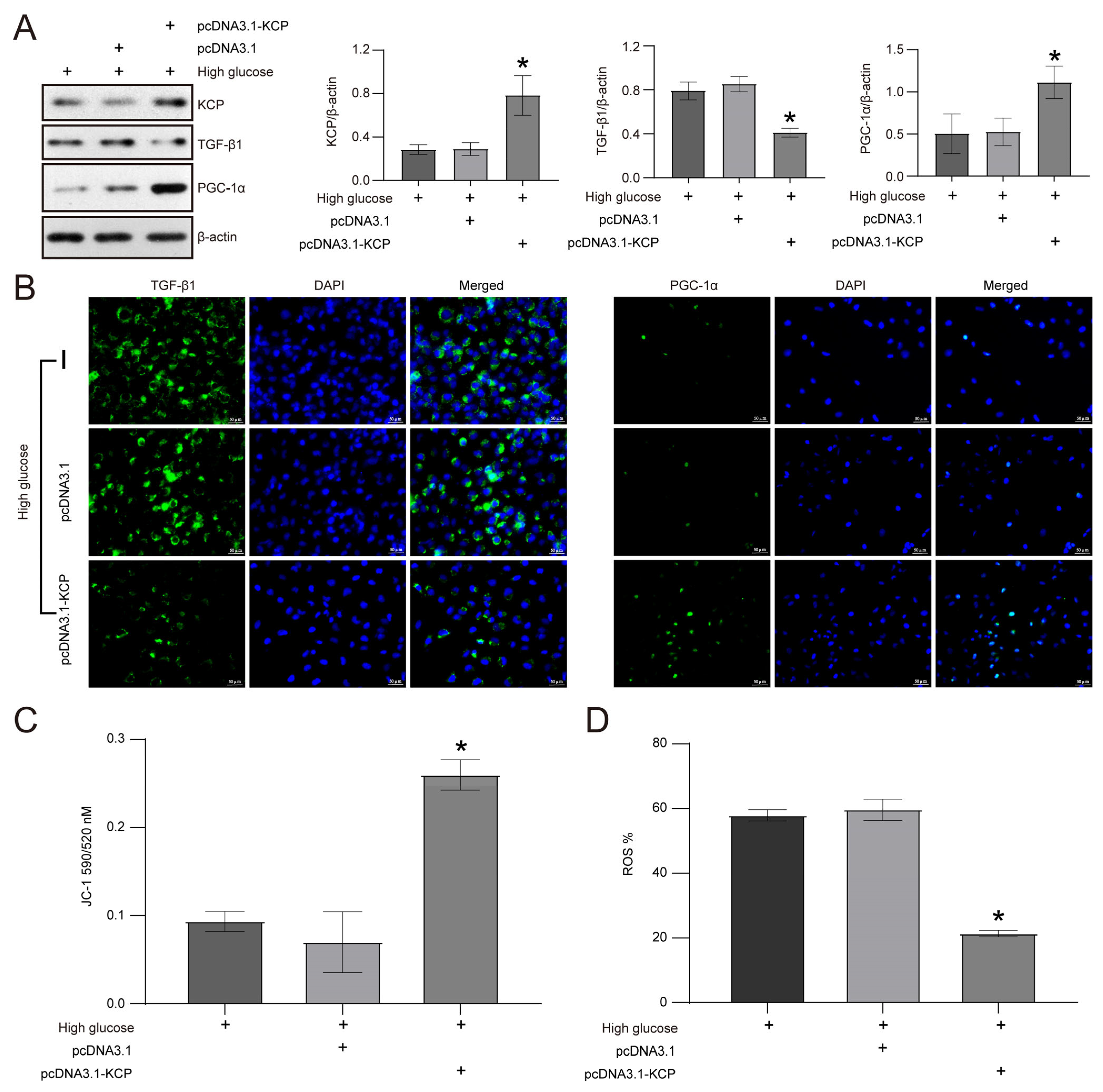 Molecules 28 07851 g006