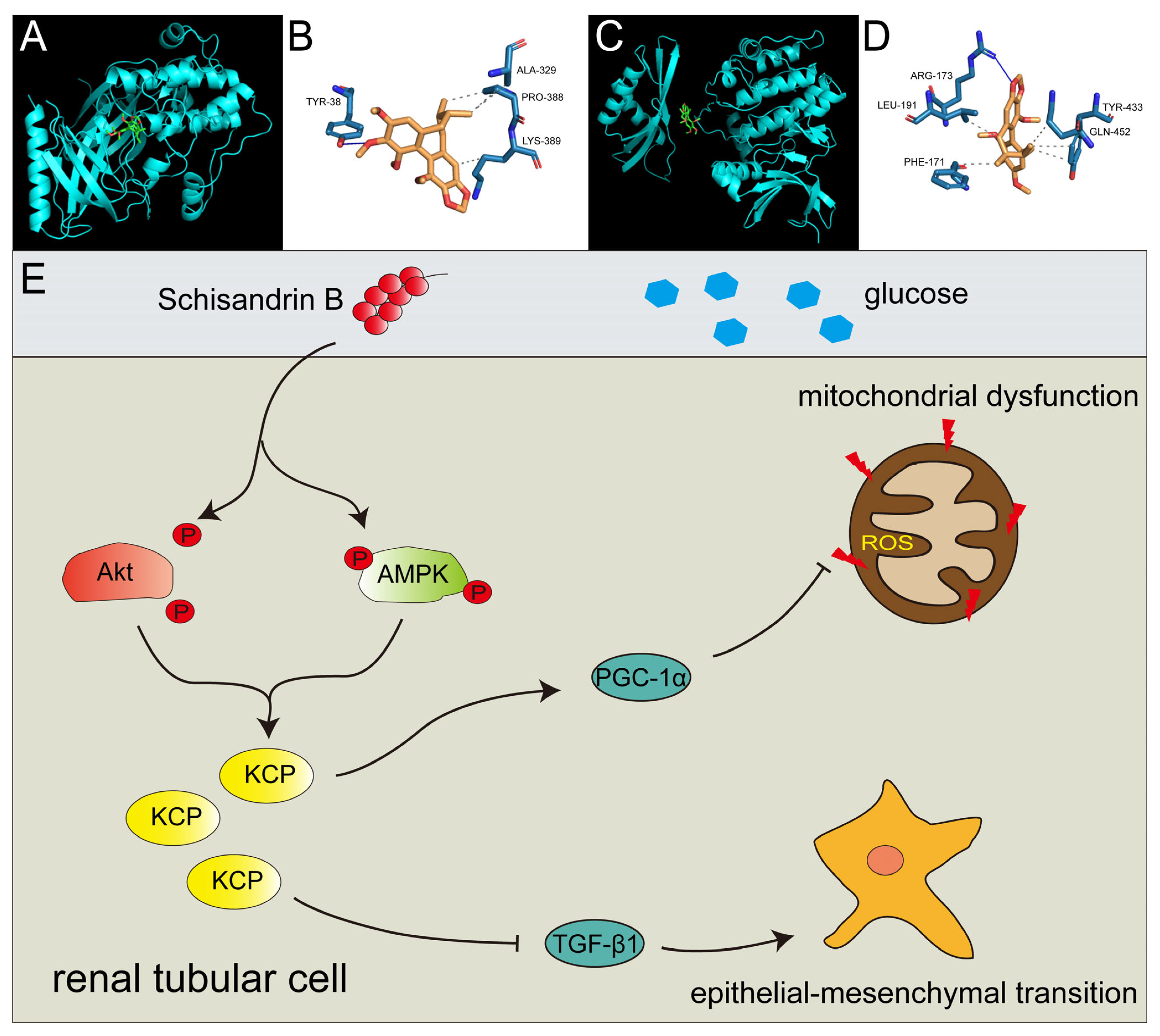 Molecules 28 07851 g008