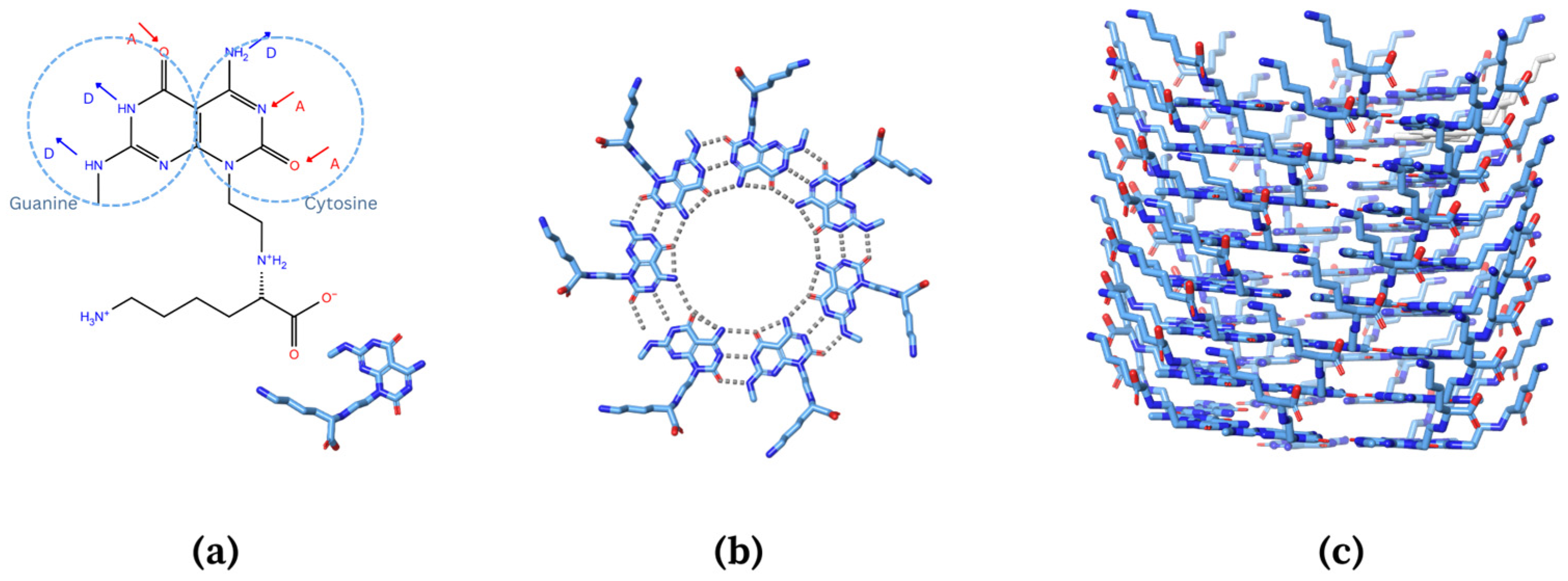 Molecules 28 07853 g002