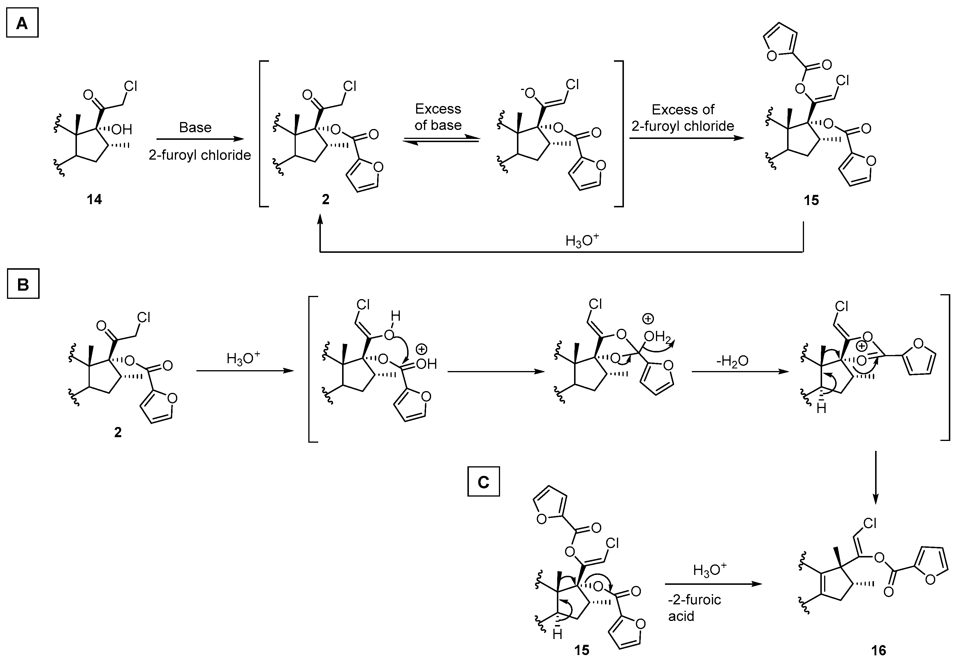 Molecules 28 07859 sch003