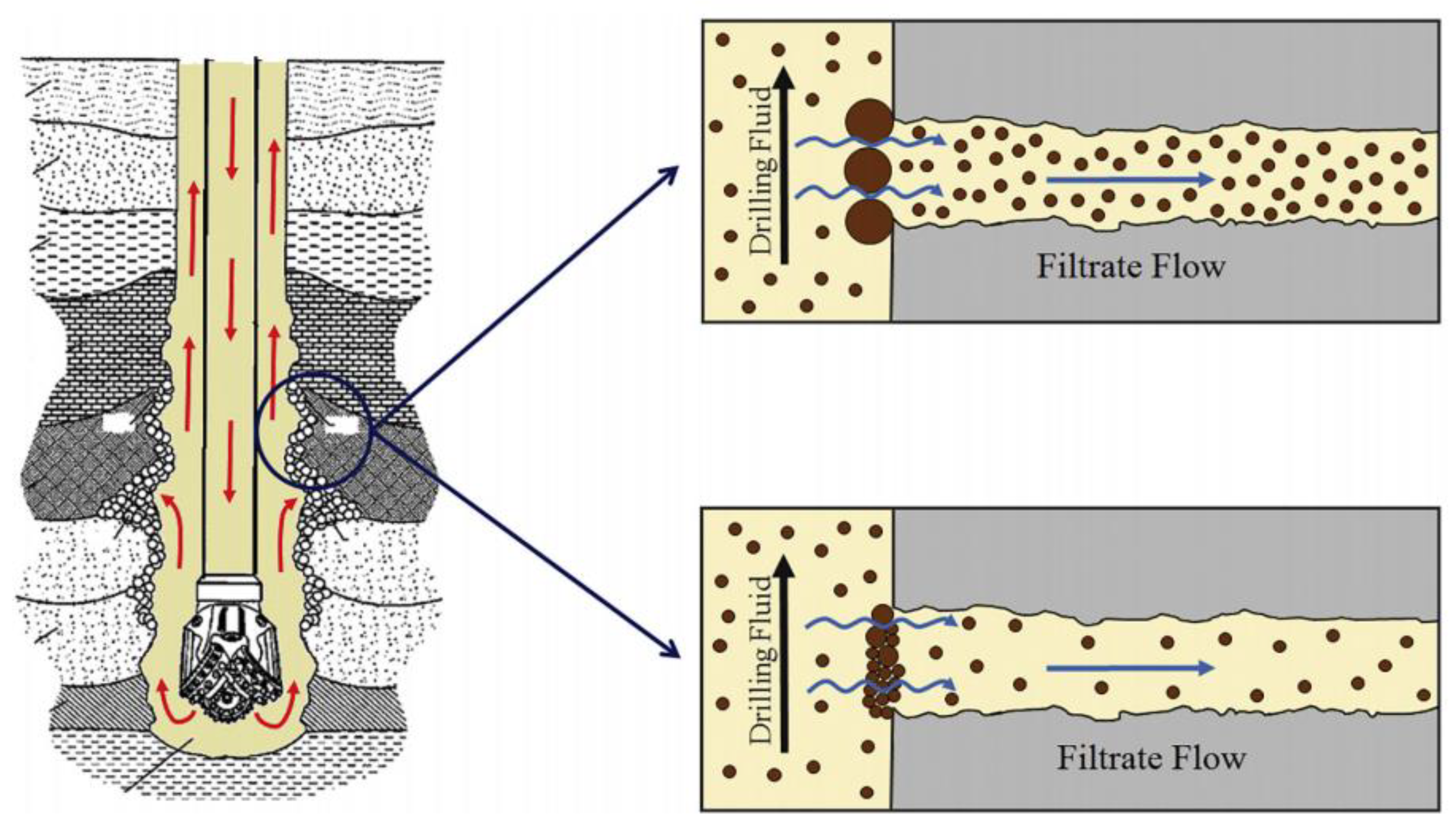 Molecules 28 07866 g002