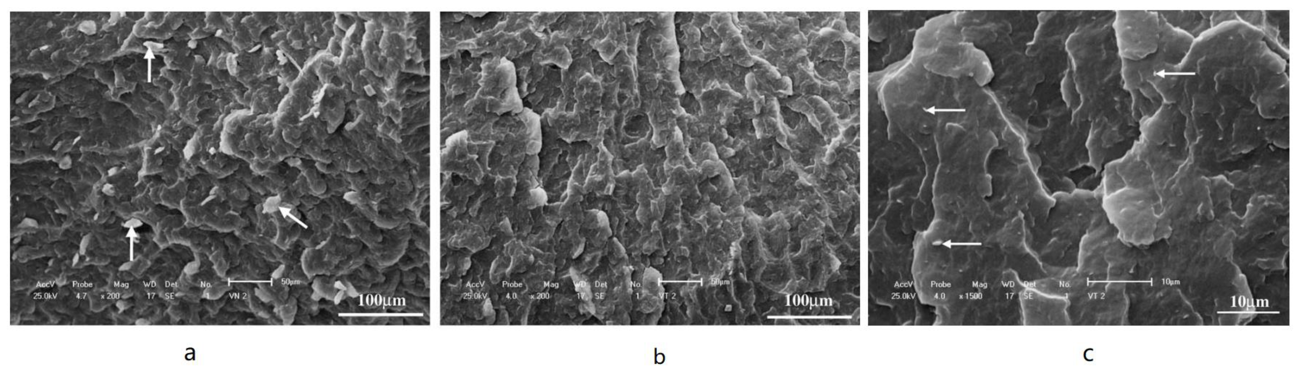 Molecules 28 07866 g003