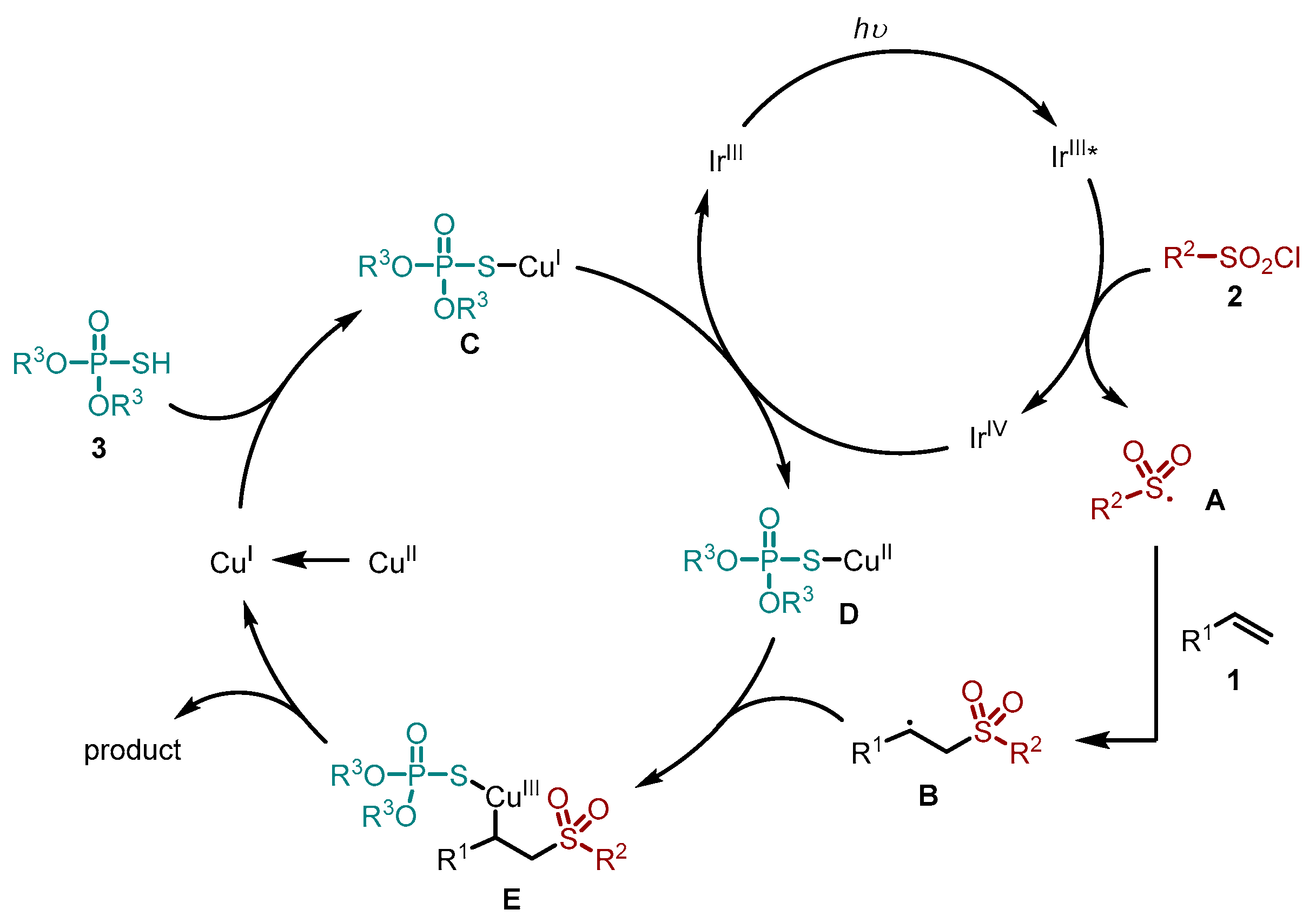 Molecules 28 07869 sch004