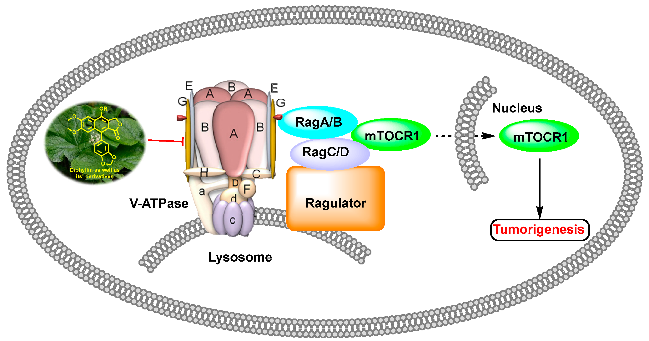 Molecules 28 07874 g008